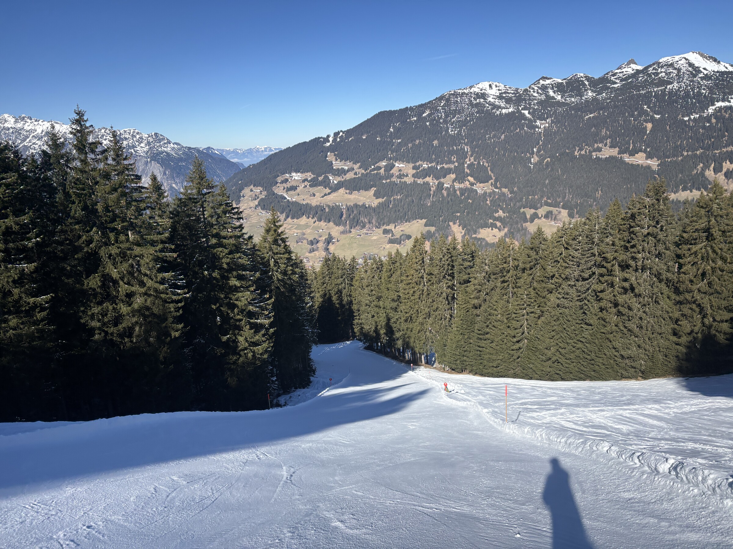 IMG_6452.jpeg