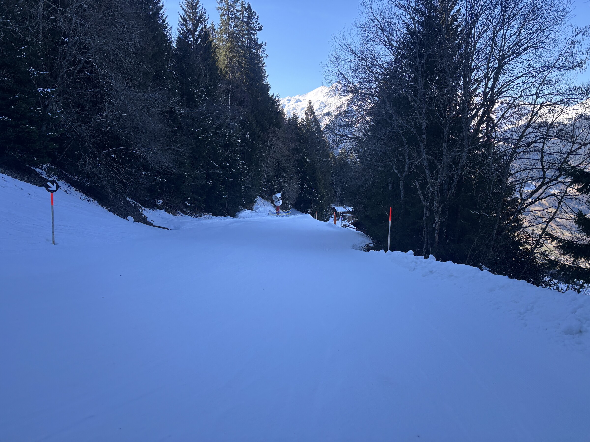 IMG_6459.jpeg