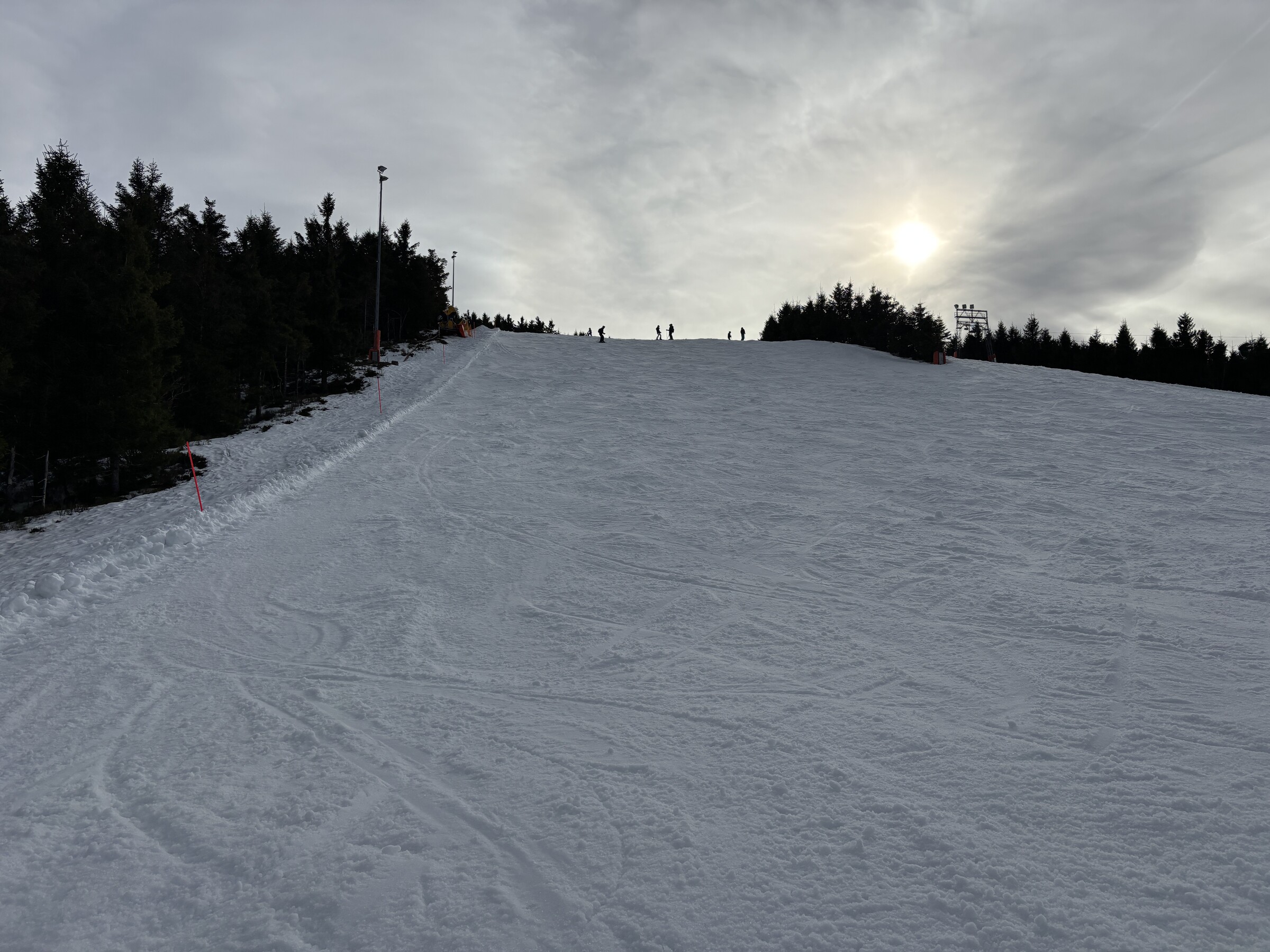 IMG_6499.jpeg