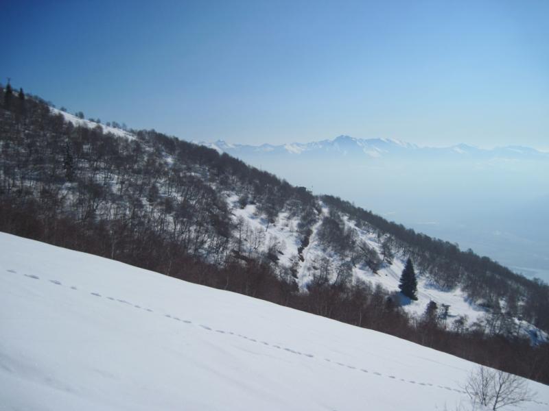 IMG_656_sized.jpg