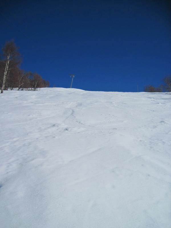 IMG_663_sized.jpg