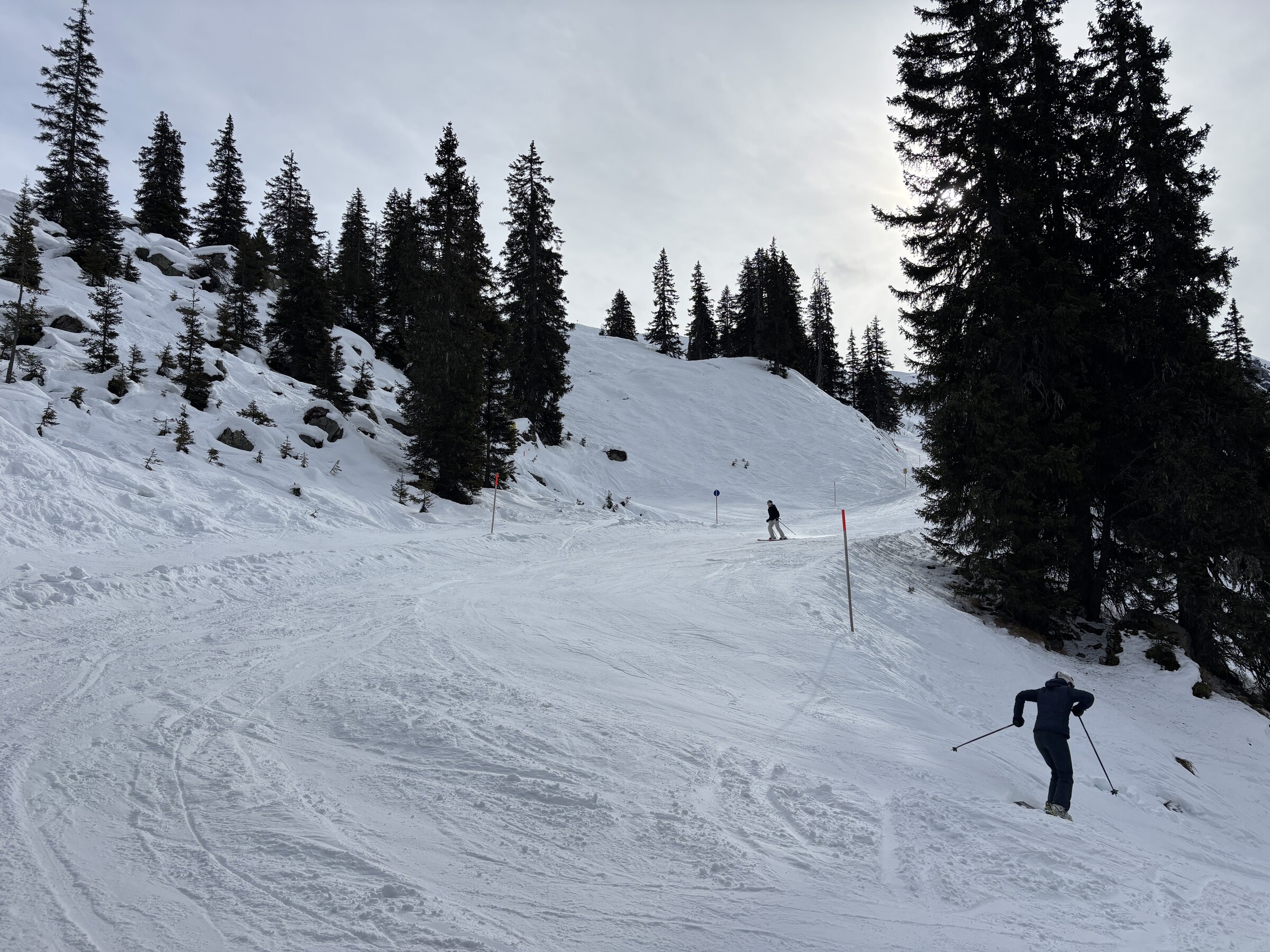 IMG_6705.jpeg