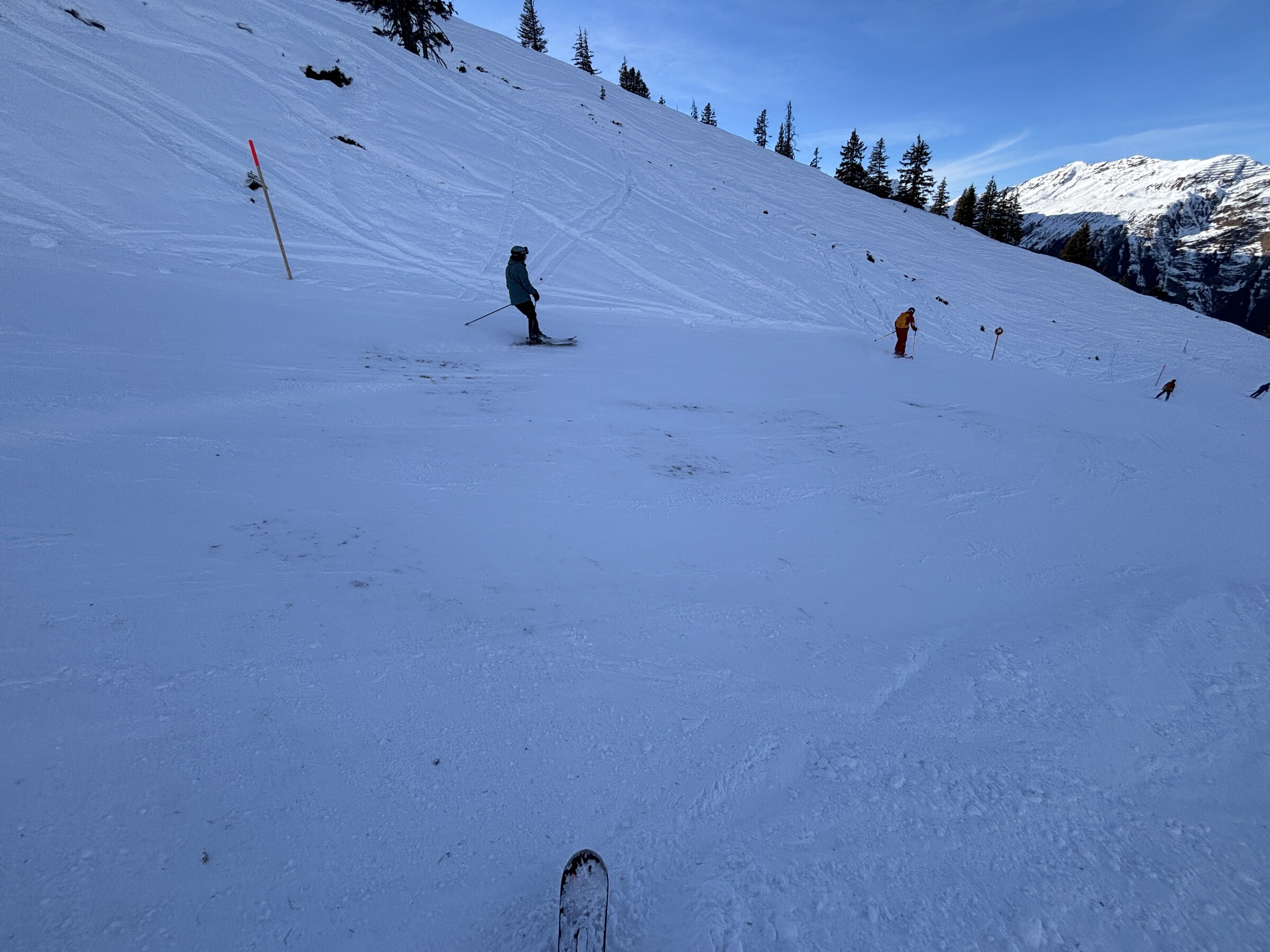 IMG_6752.jpeg