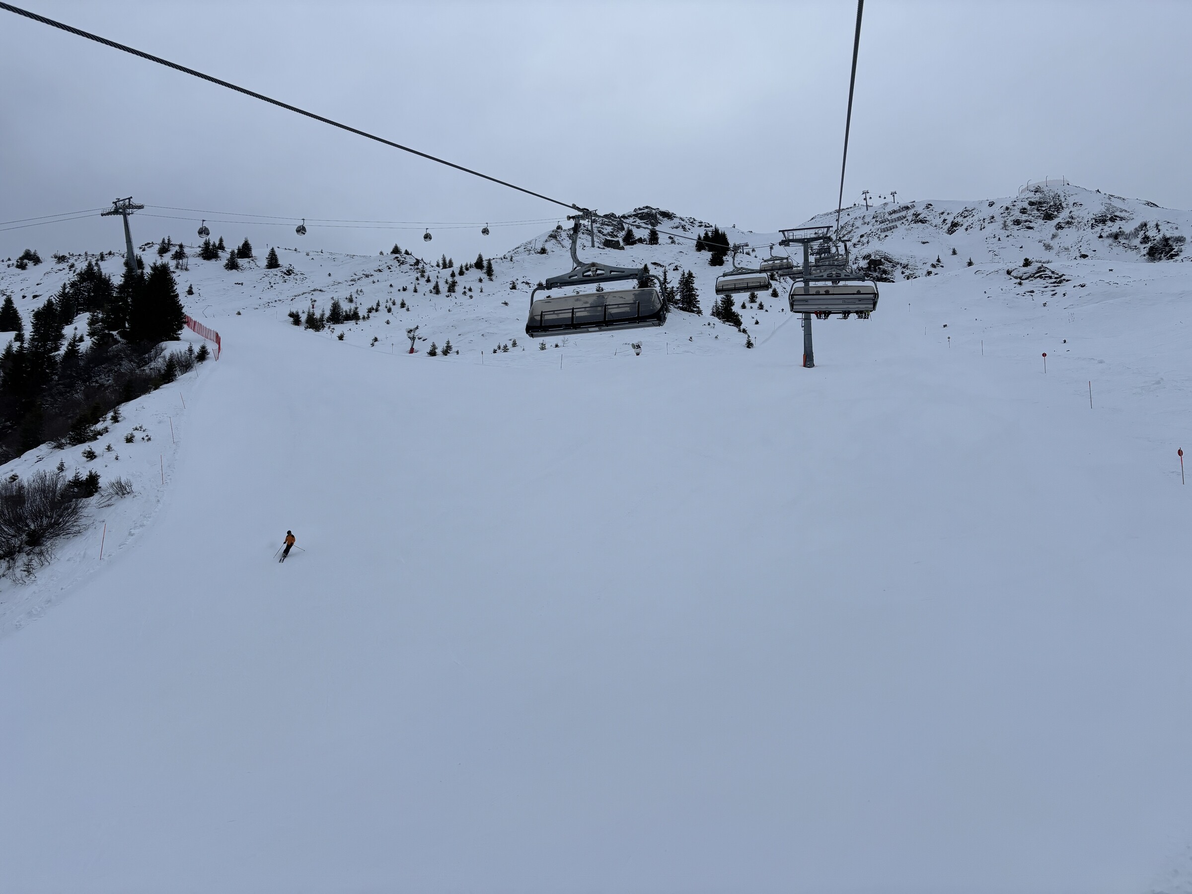 IMG_6766.jpeg