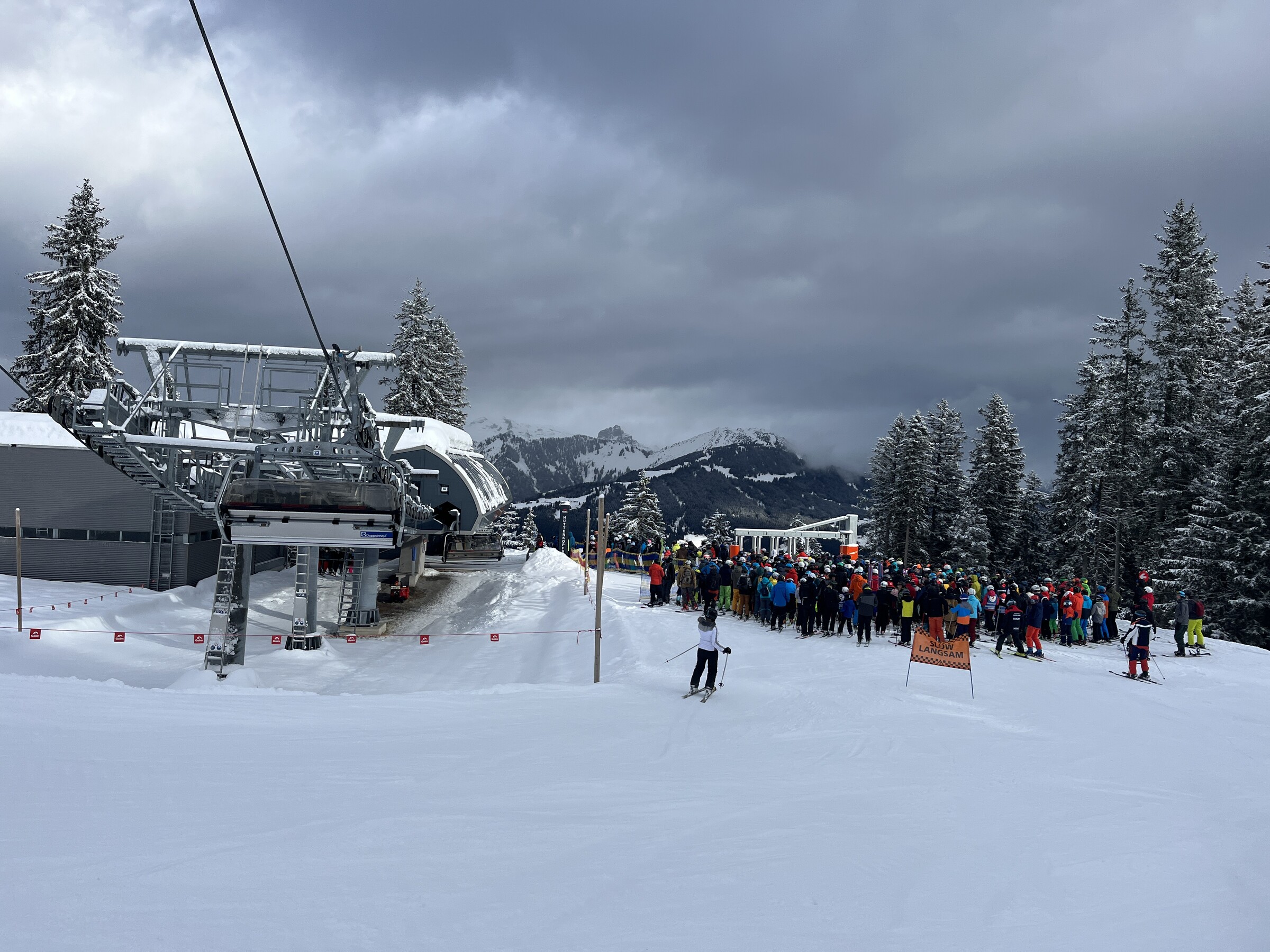 IMG_6793.jpeg