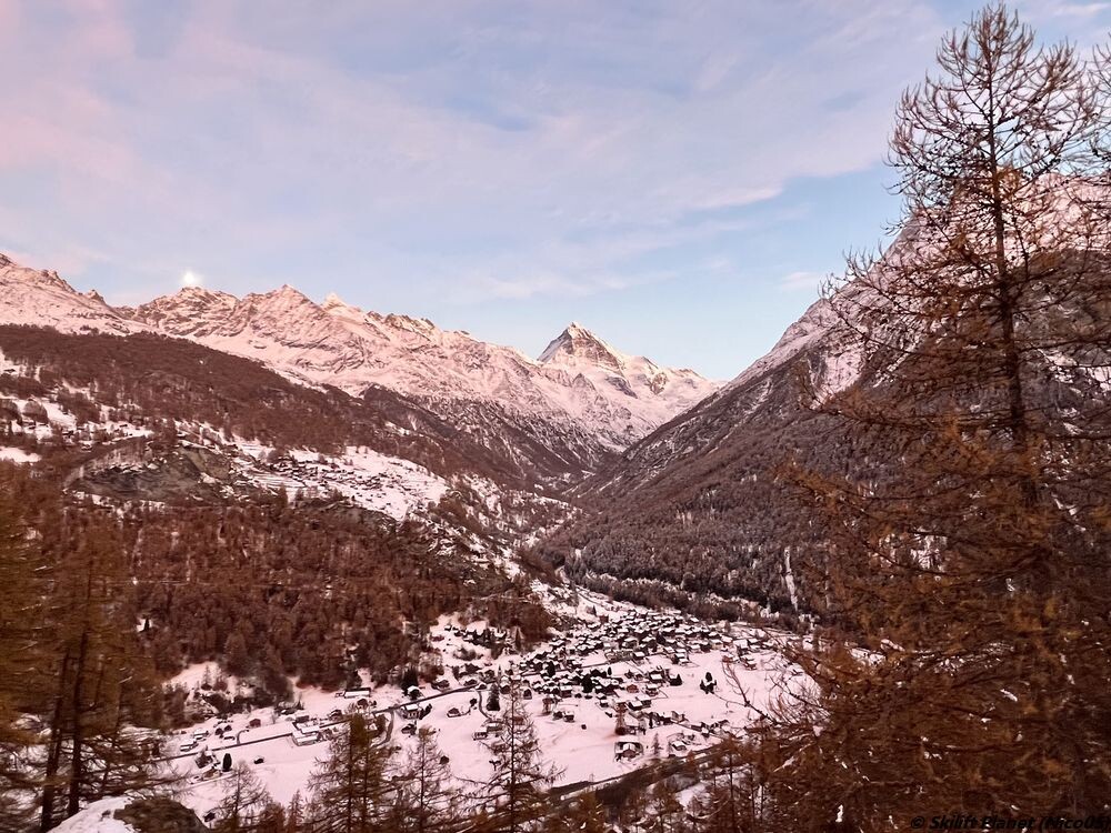IMG_6805.jpg