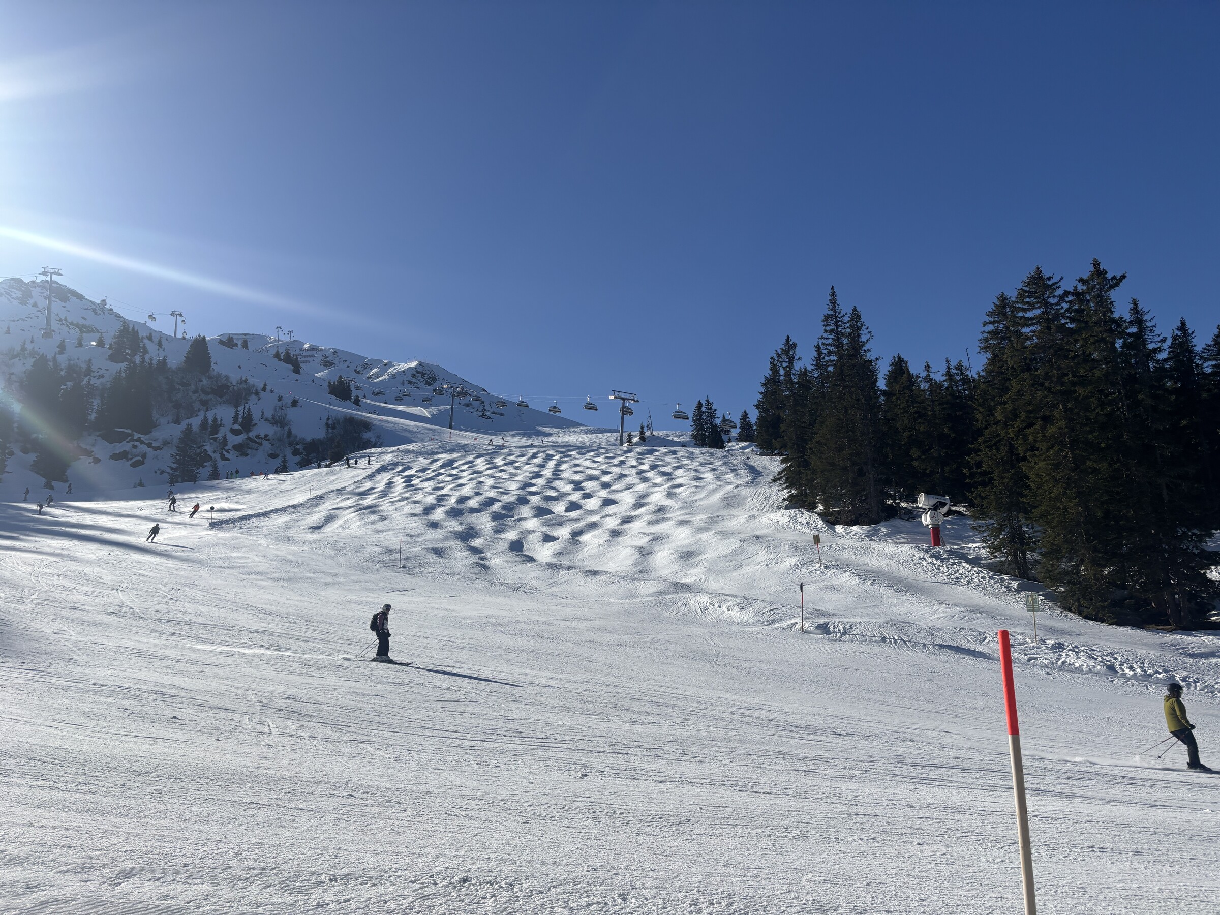 IMG_6881.jpeg