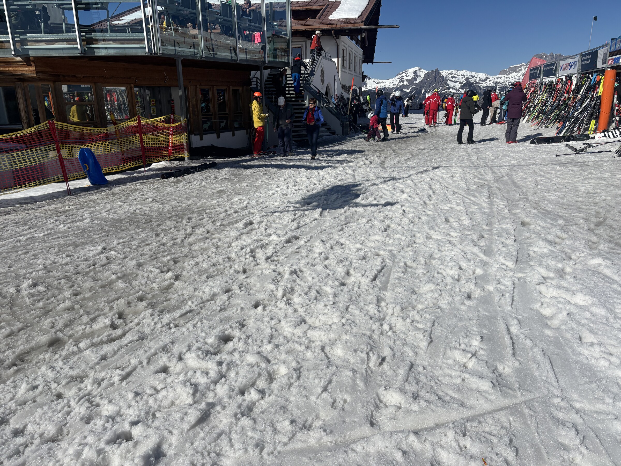 IMG_6916.jpeg