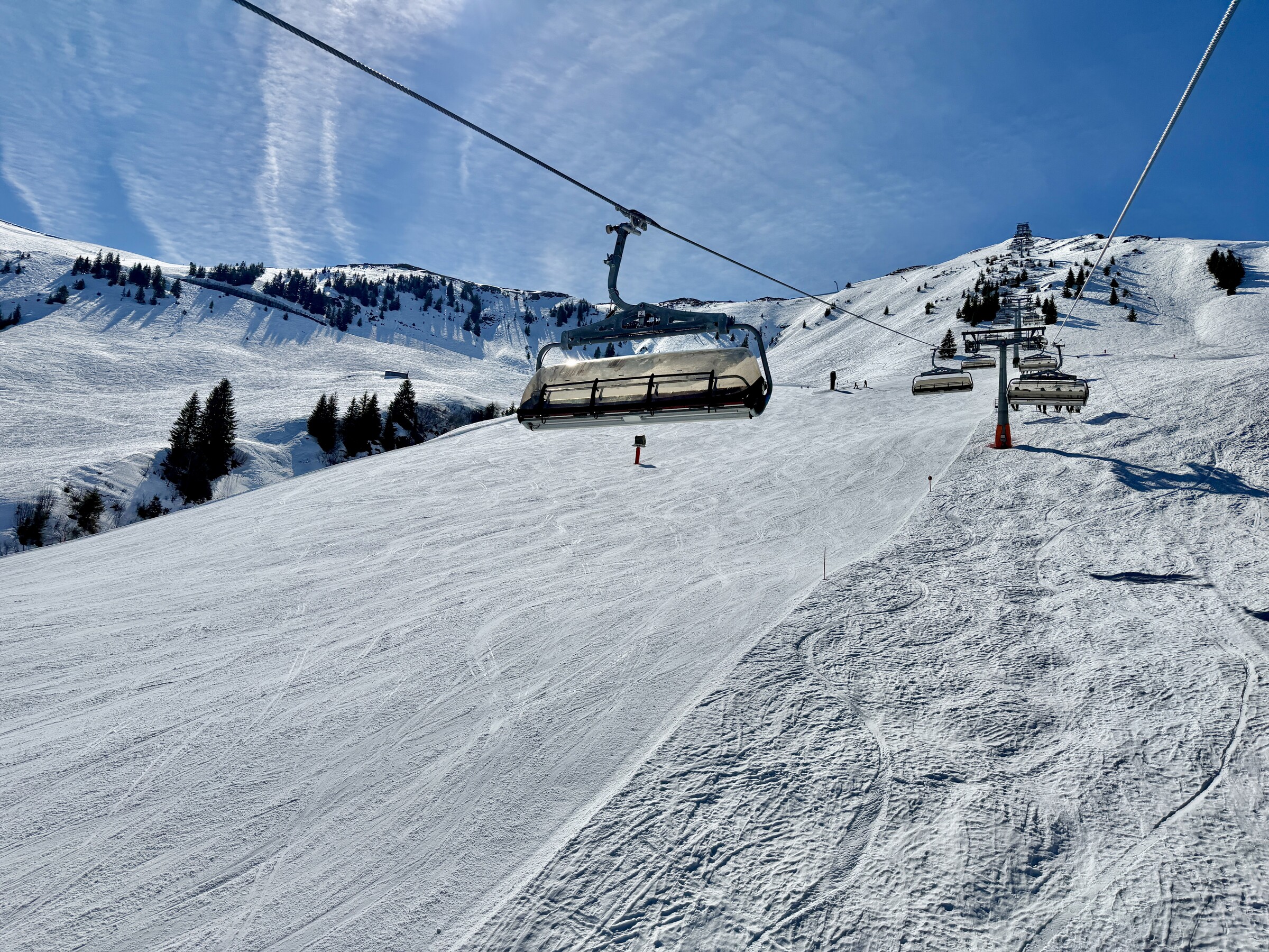 IMG_6995.jpeg