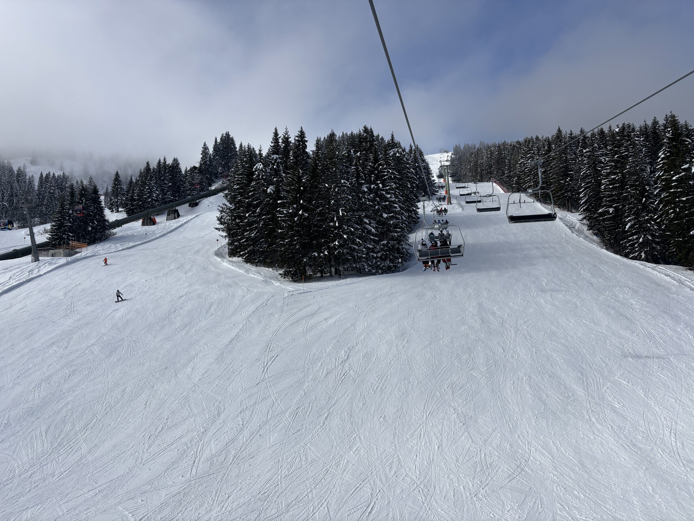 IMG_7073.jpeg