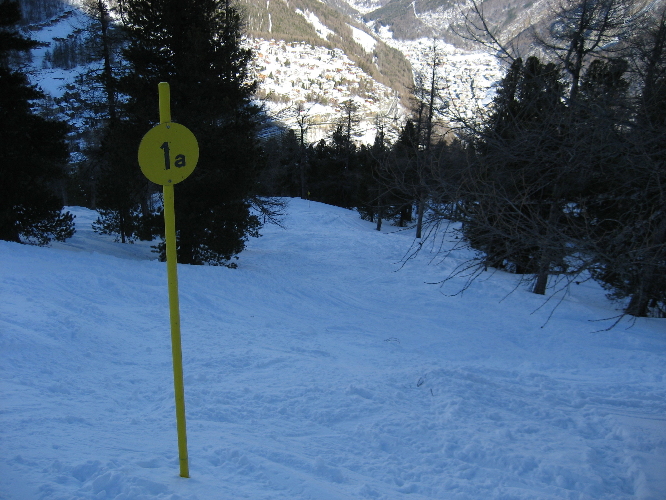 IMG_7183.JPG