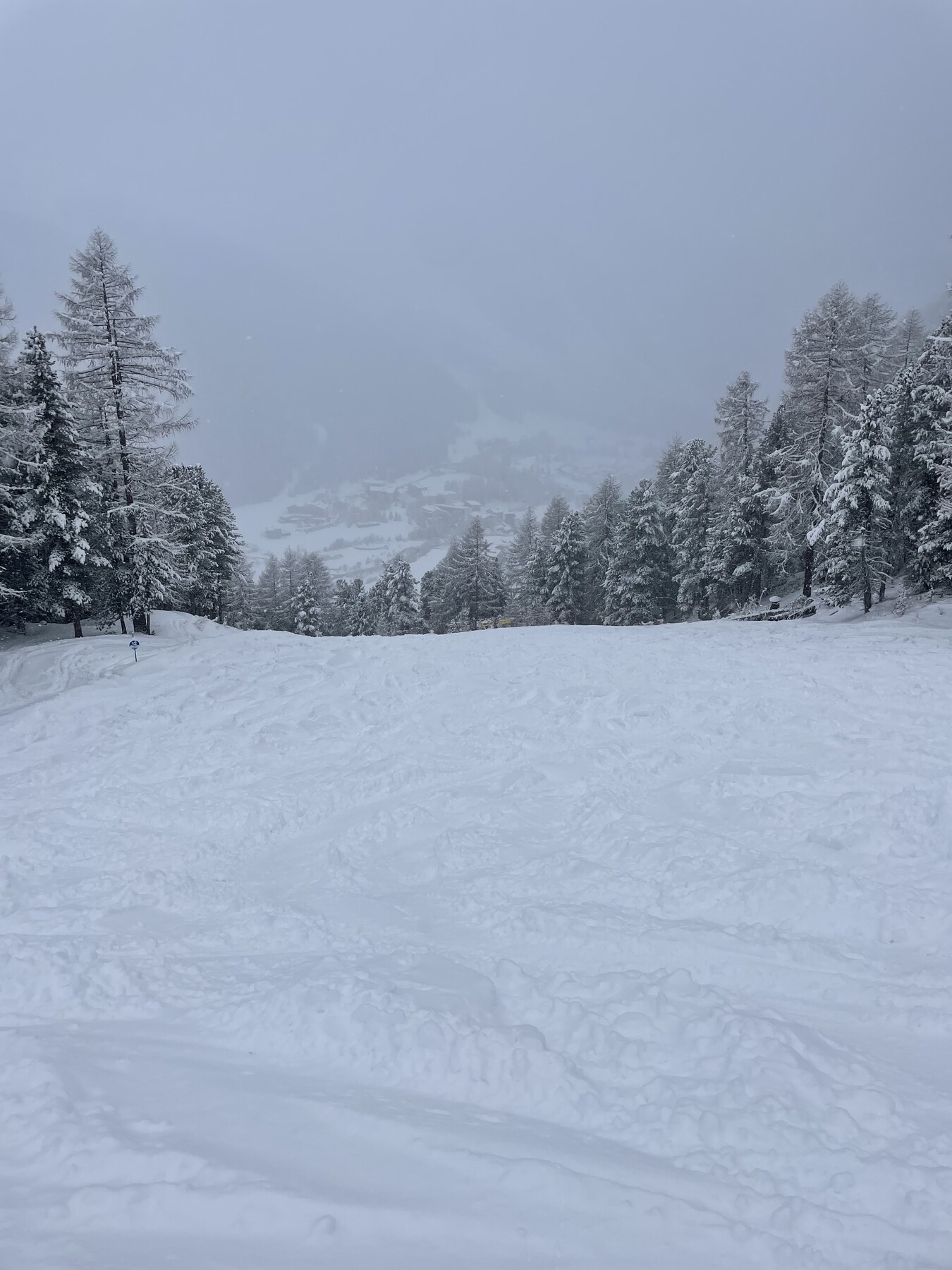 IMG_7530.jpeg