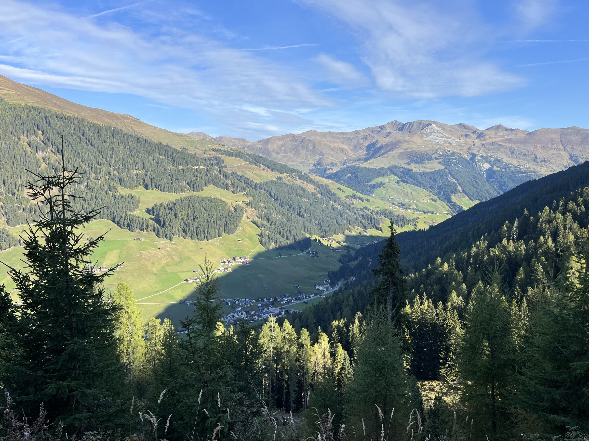 IMG_7553.jpeg