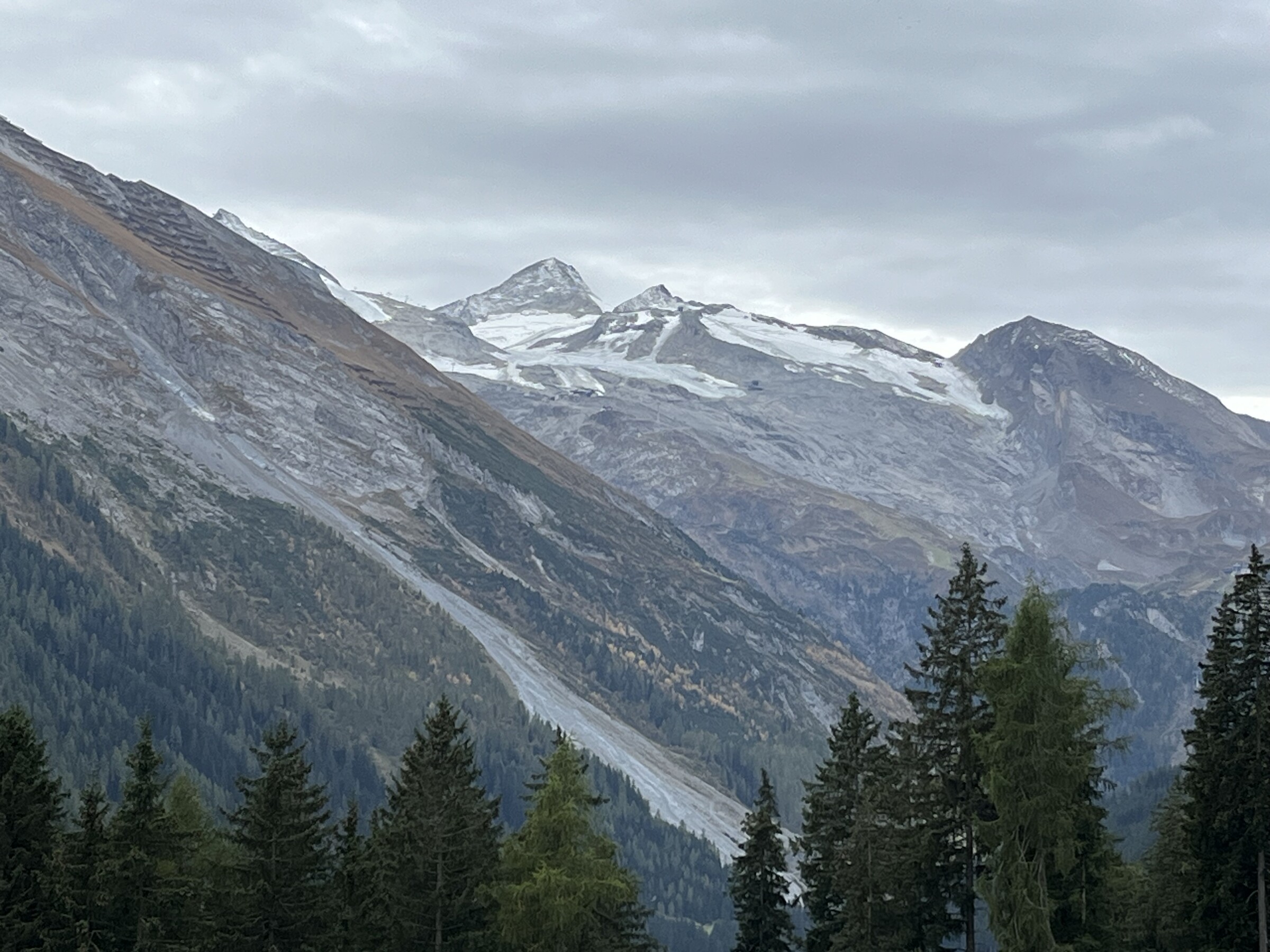 IMG_7568.jpeg