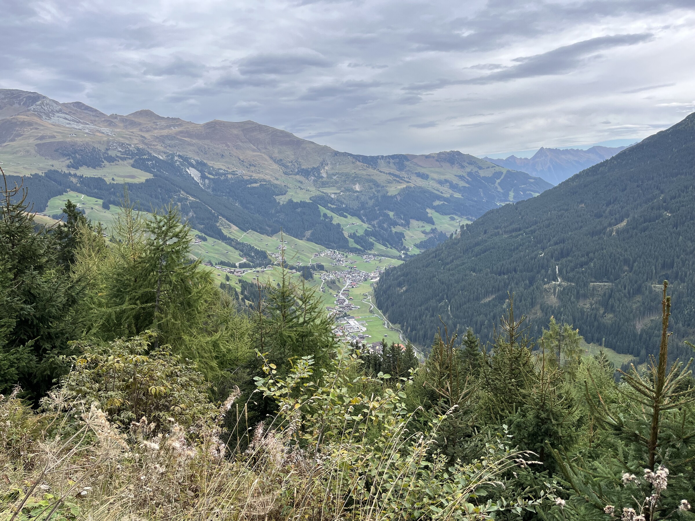 IMG_7569.jpeg