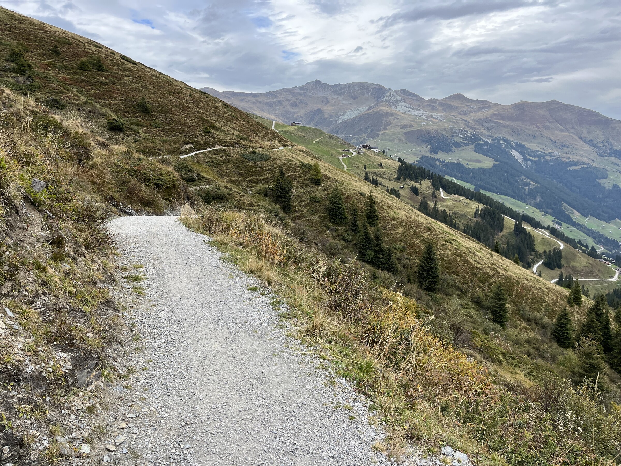IMG_7574.jpeg