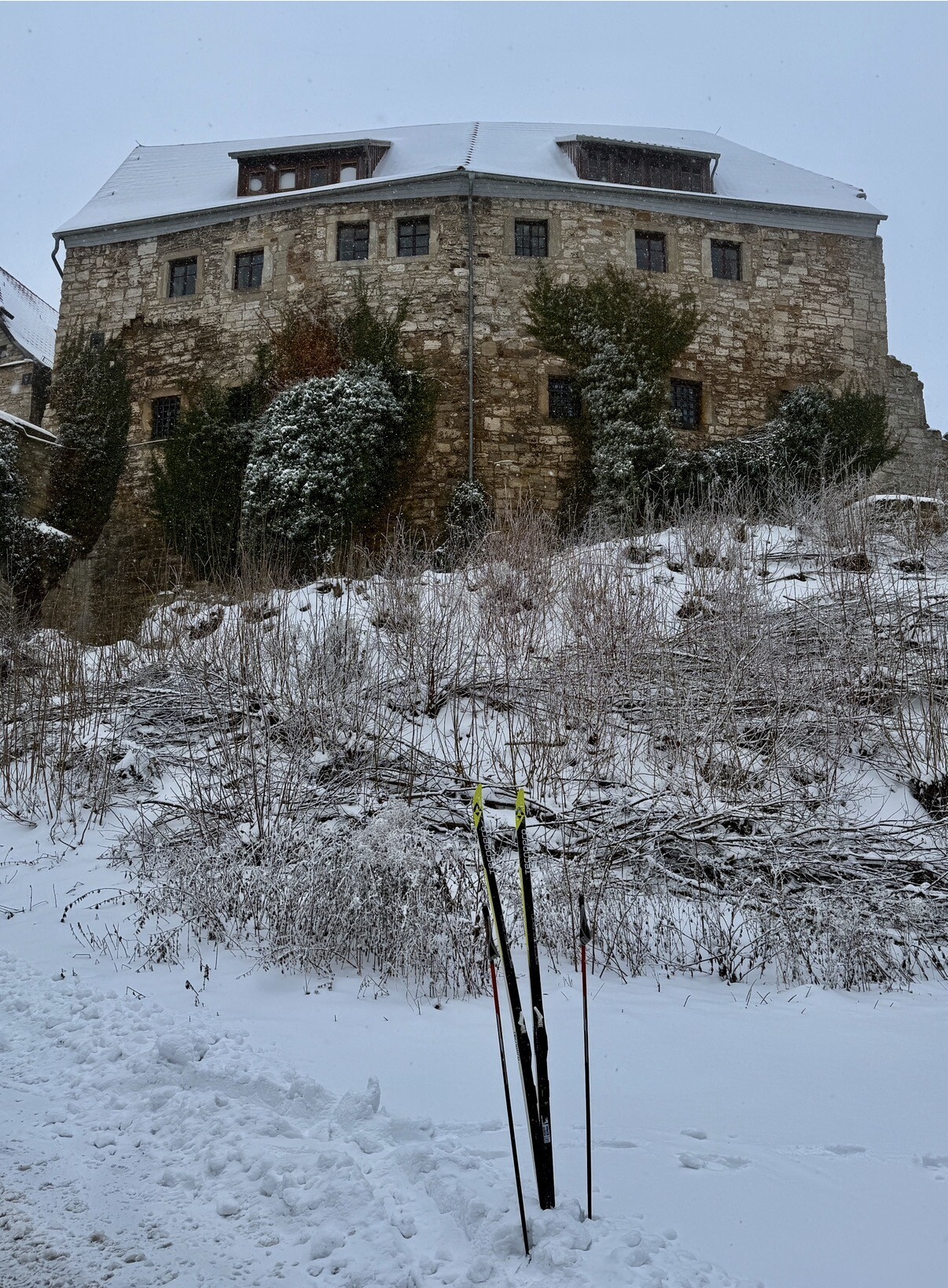 IMG_7671.jpeg