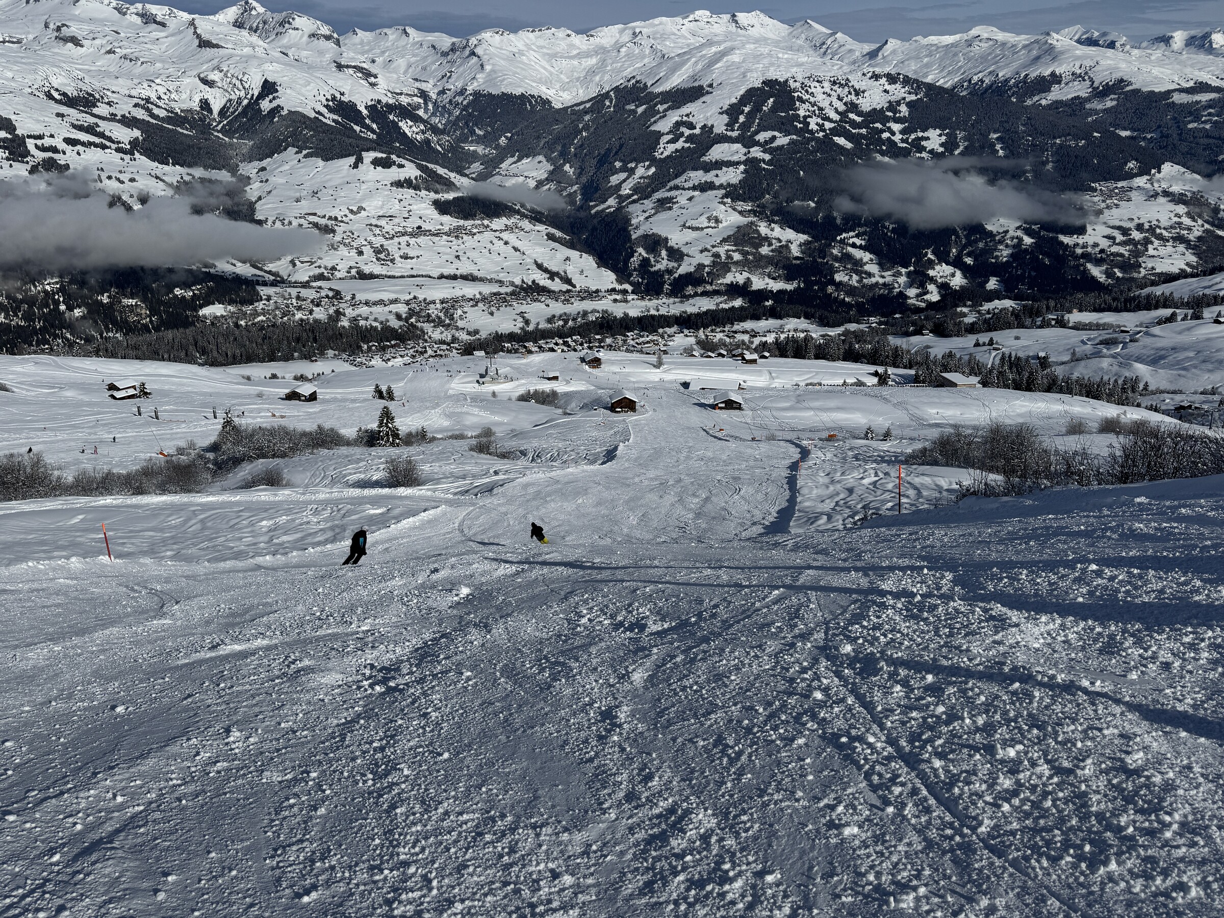 IMG_7704.jpeg