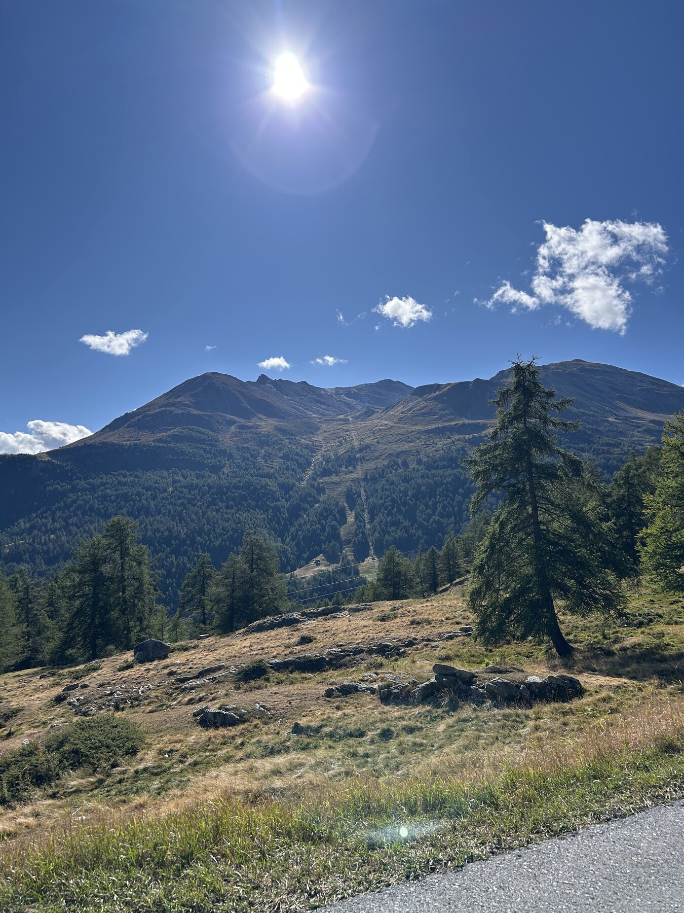 IMG_7750.jpeg