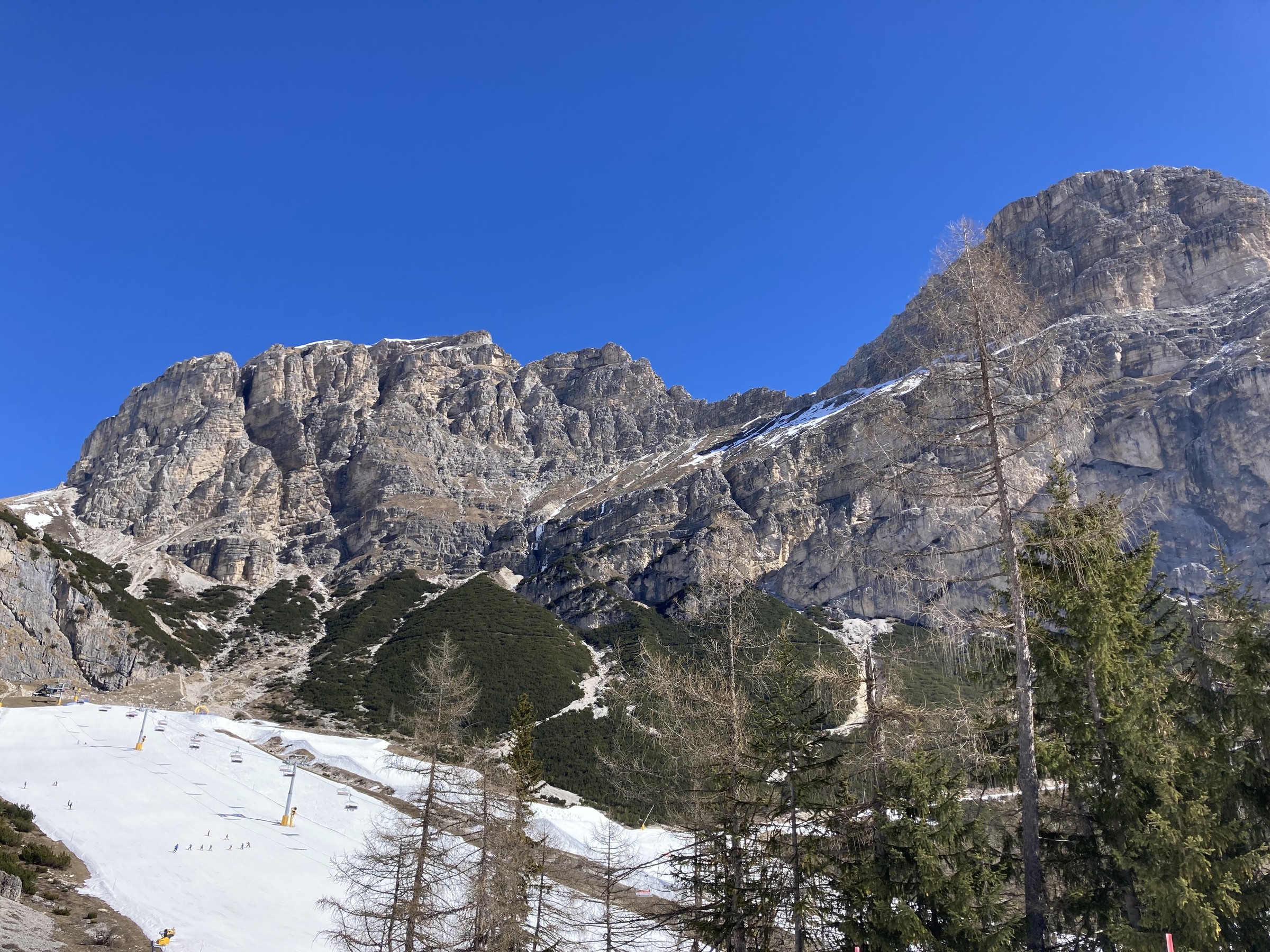 IMG_7838.JPG
