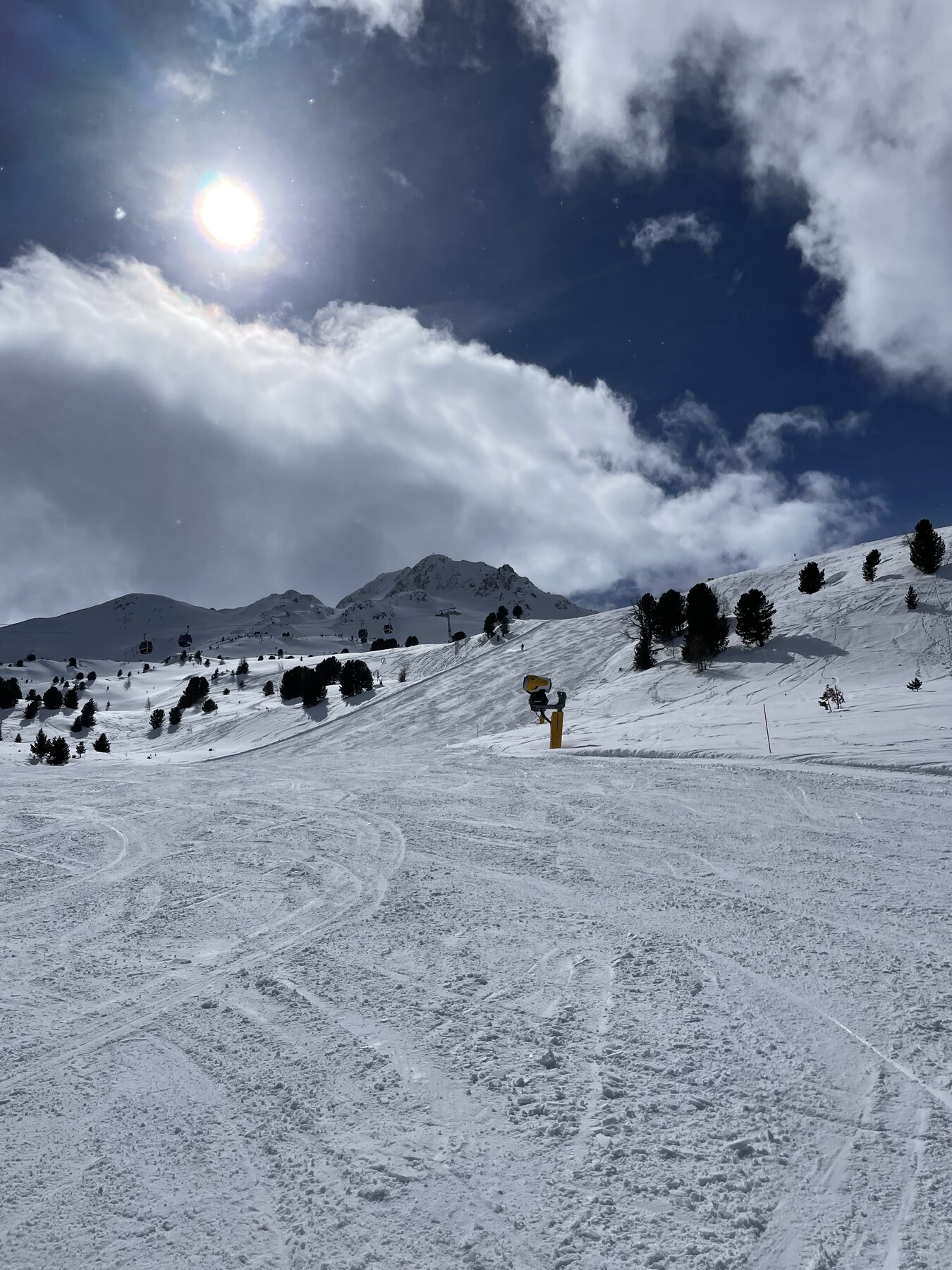 IMG_7936.jpeg