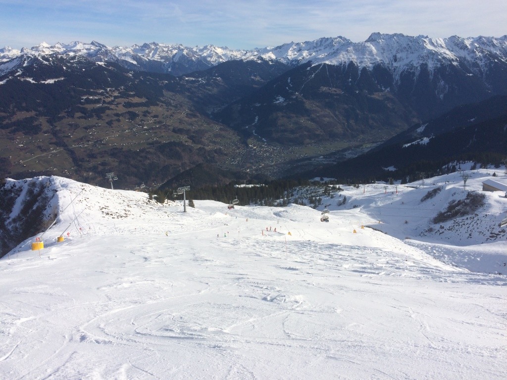 IMG_7954.JPG