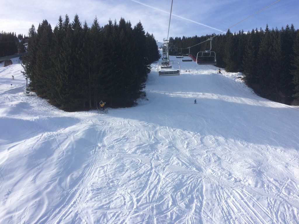 IMG_7965.JPG