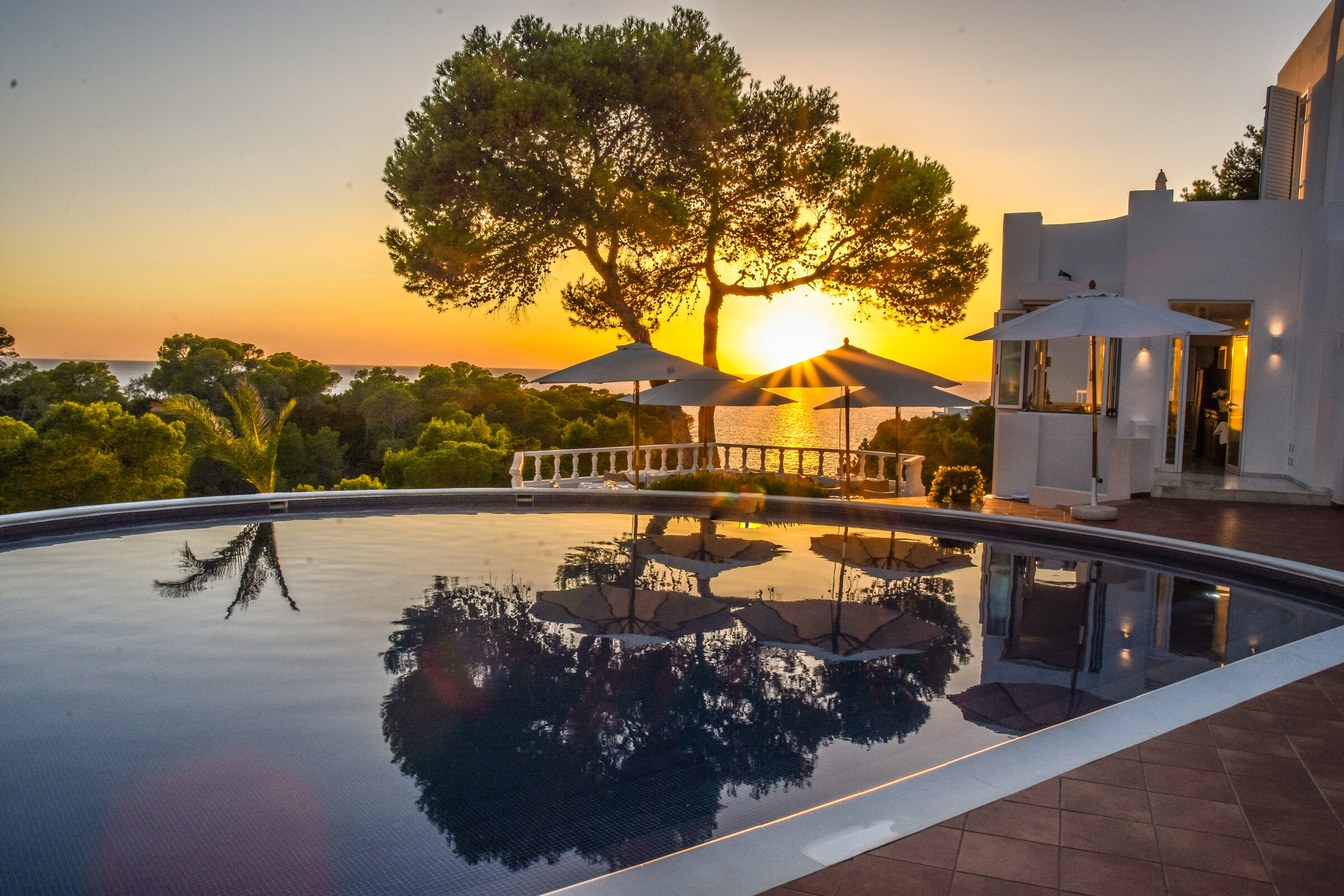IMG_8088.jpeg