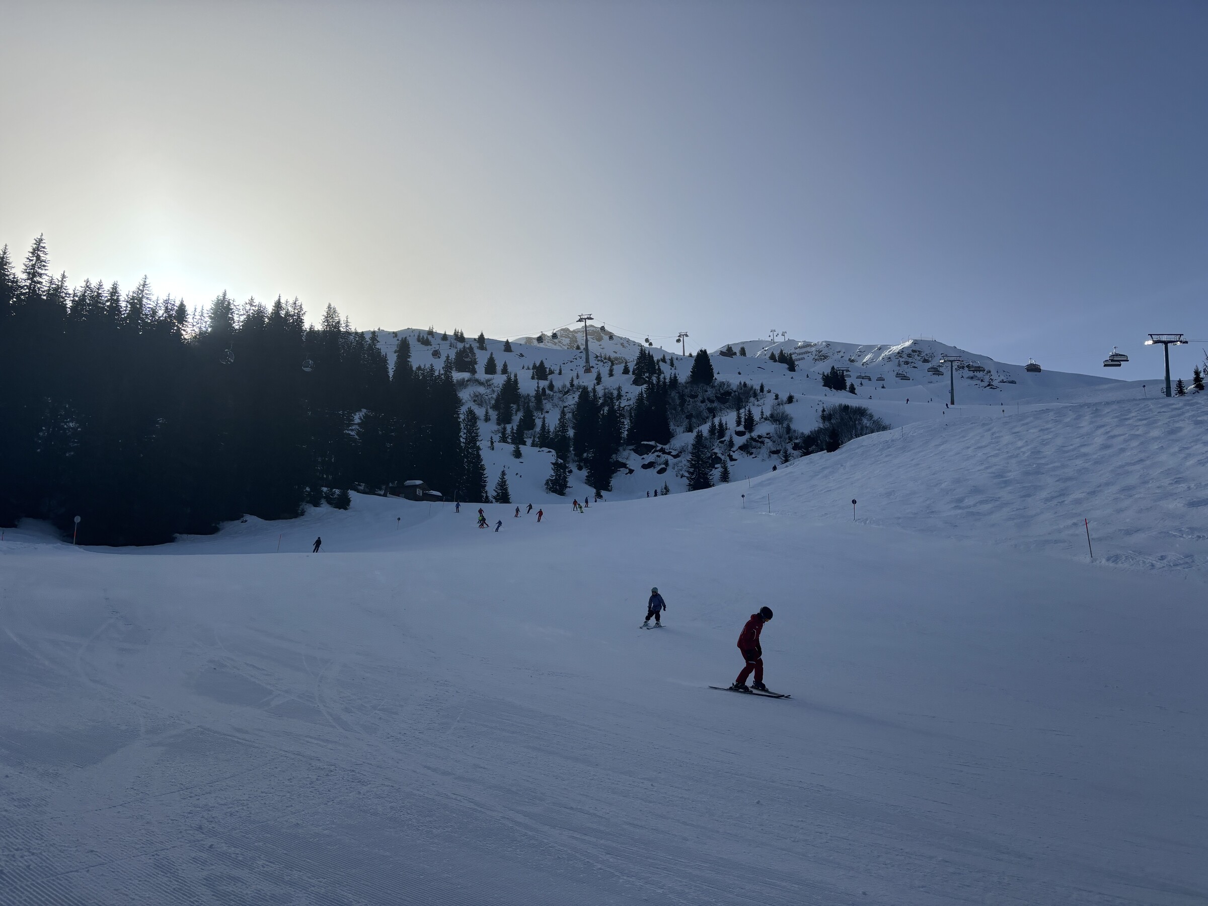 IMG_8094.jpeg