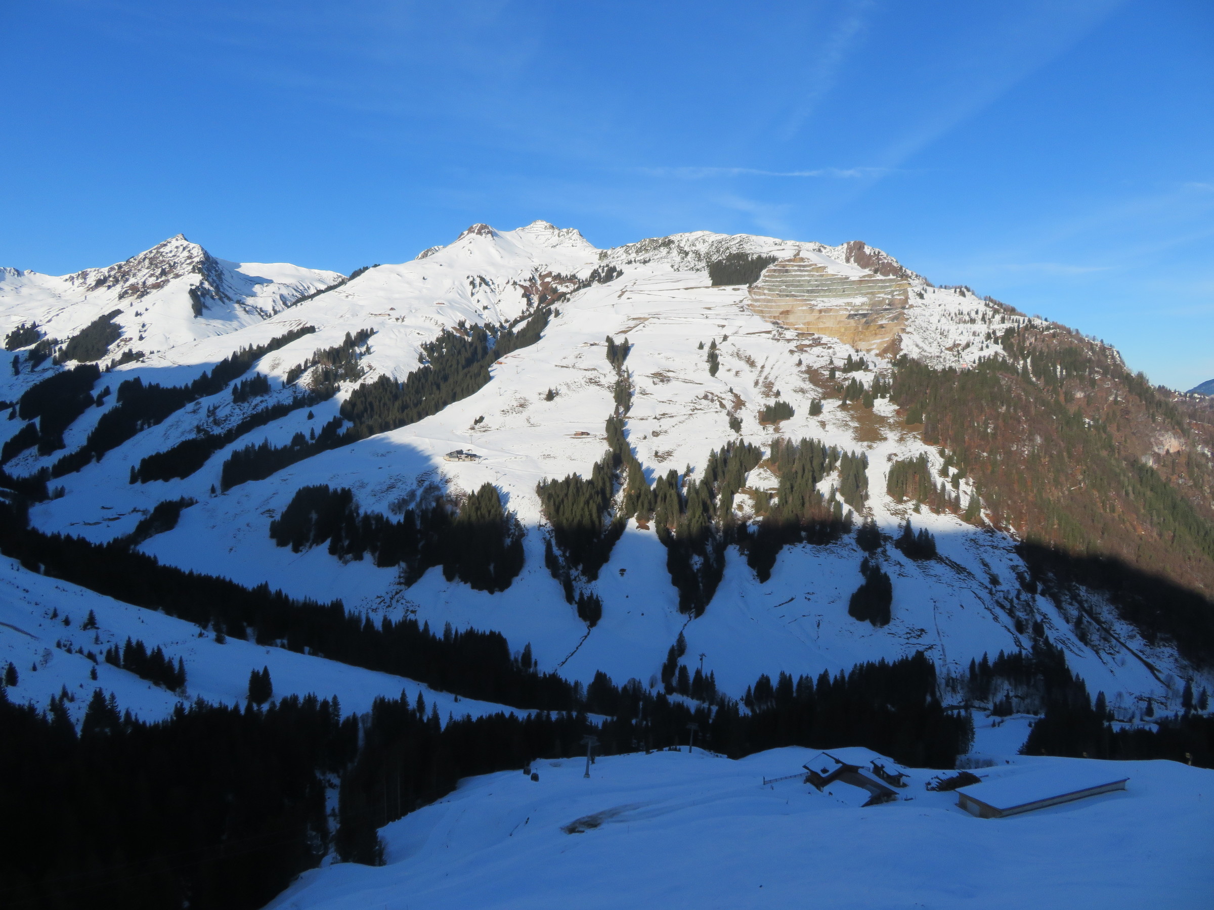 IMG_8312.JPG