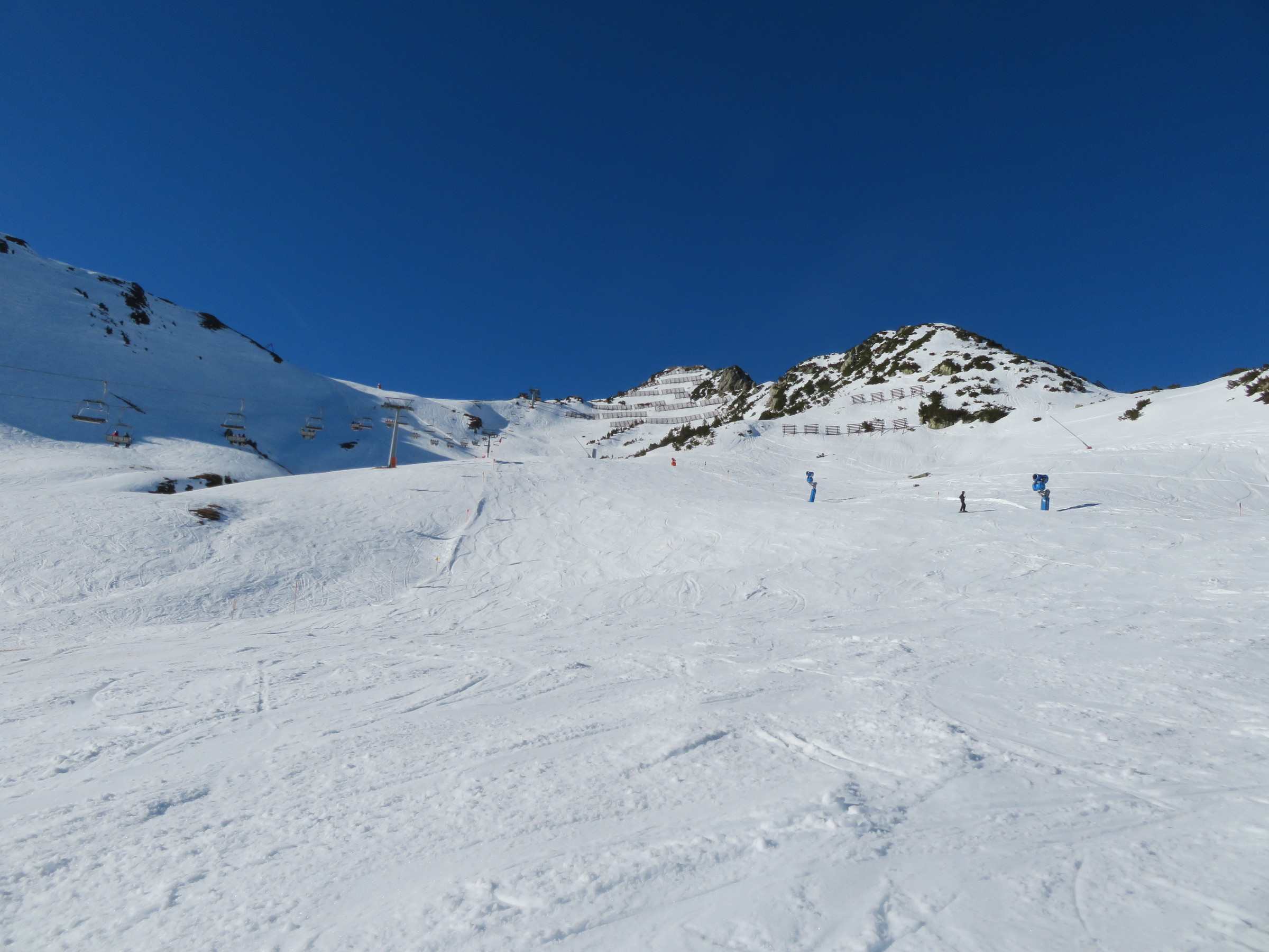 IMG_8328.JPG