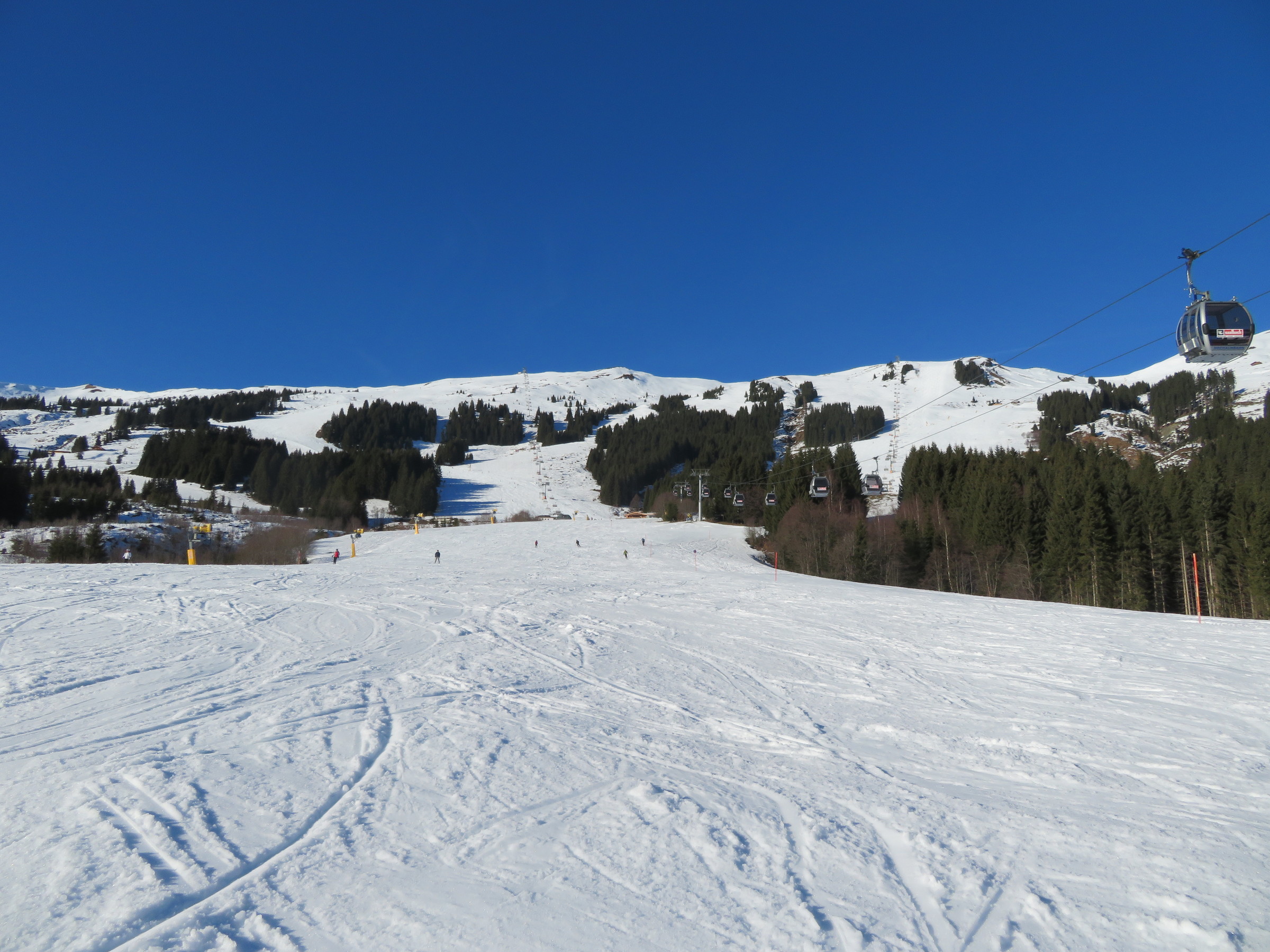 IMG_8338.JPG