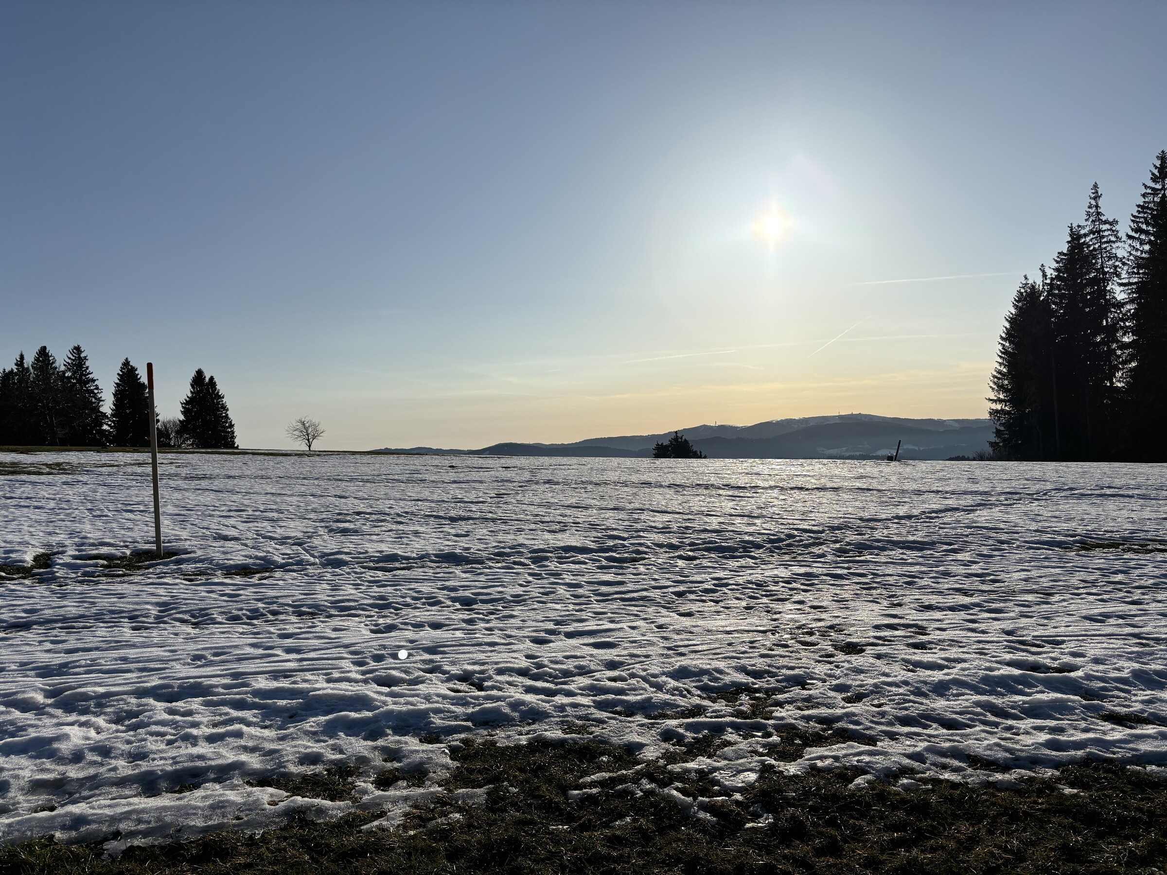 IMG_8340.jpeg