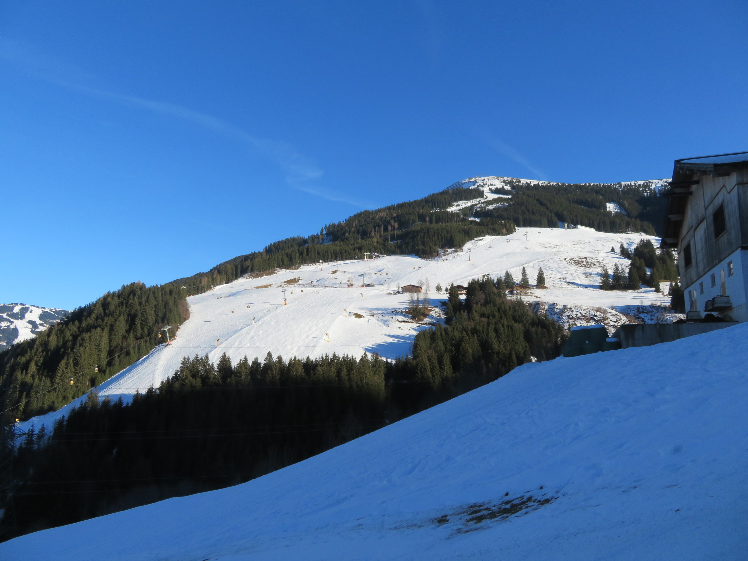 IMG_8347.JPG