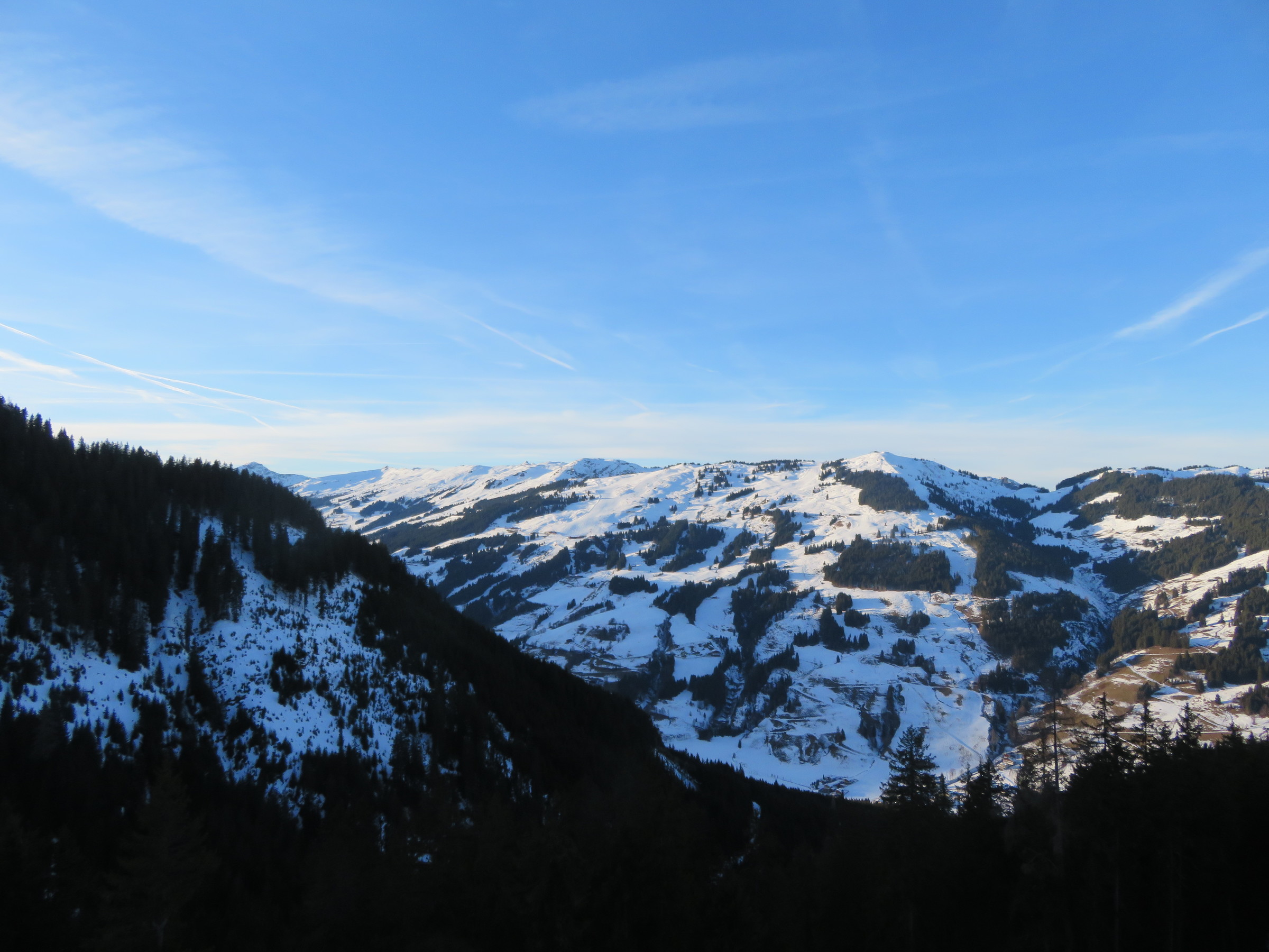 IMG_8356.JPG