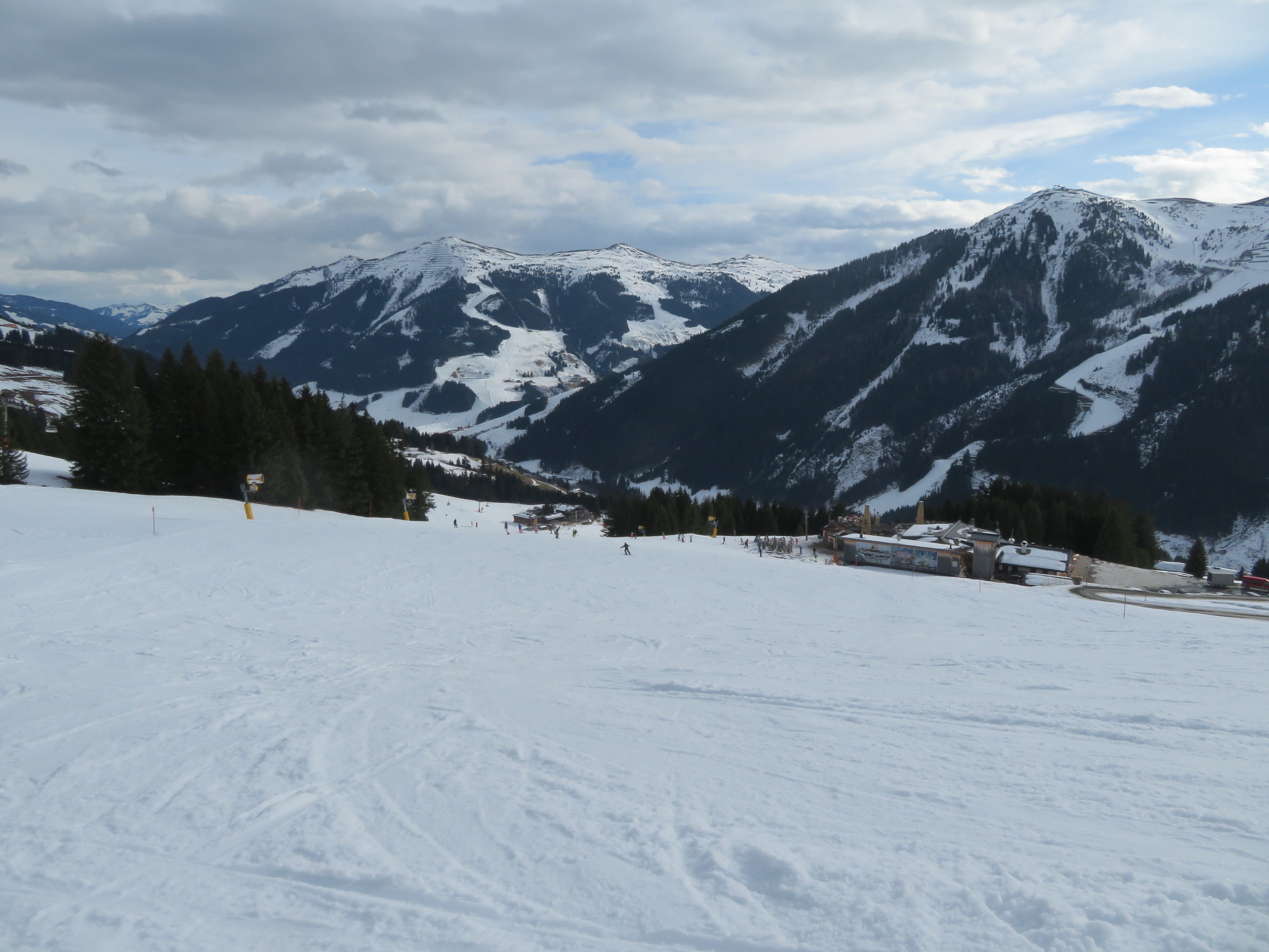 IMG_8450.JPG
