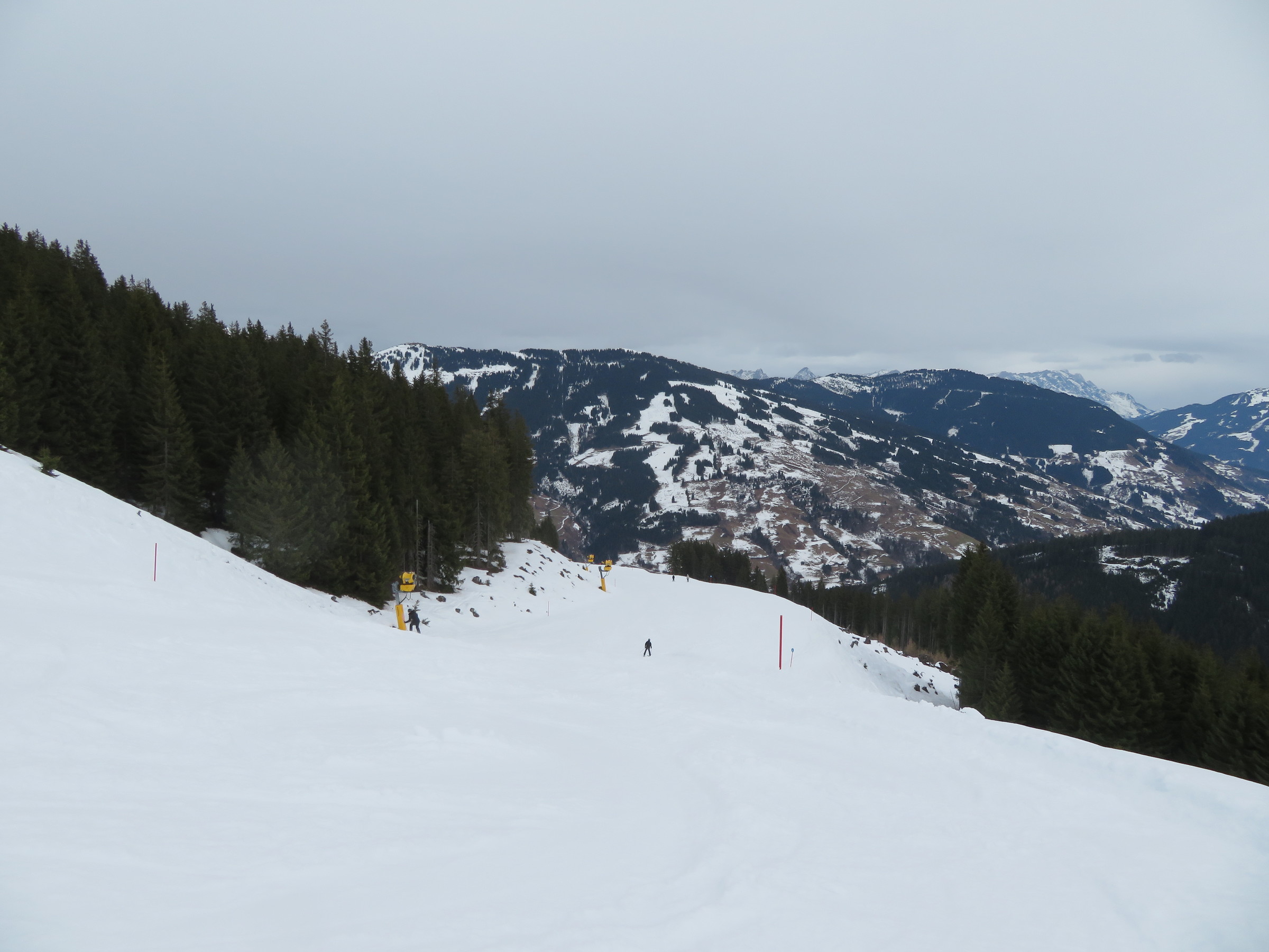 IMG_8459.JPG