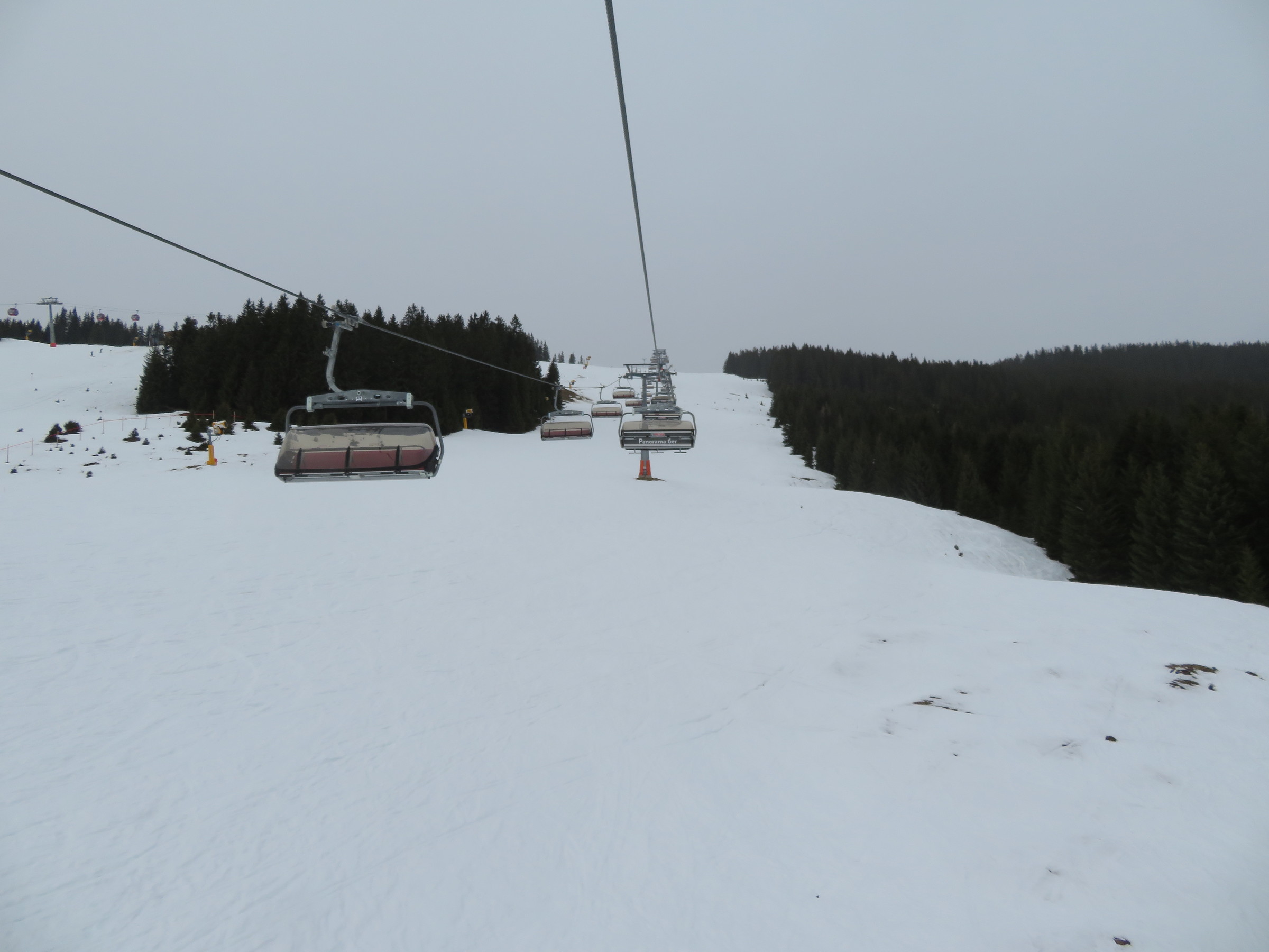 IMG_8463.JPG