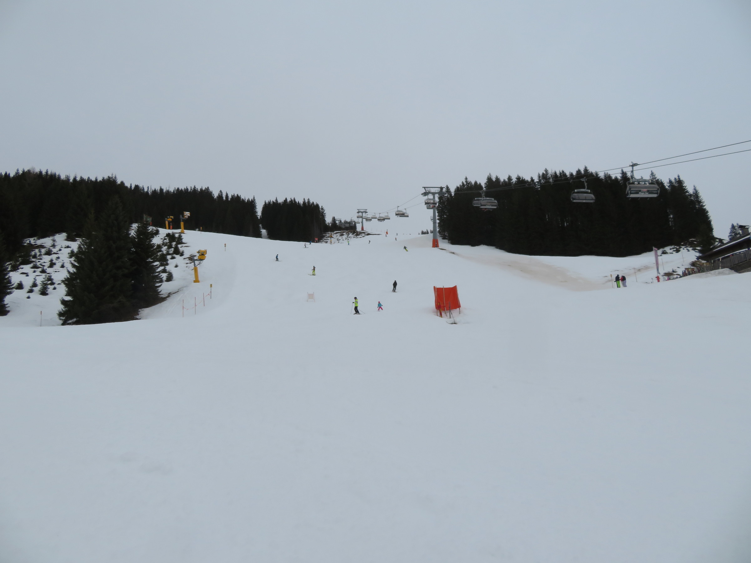 IMG_8464.JPG