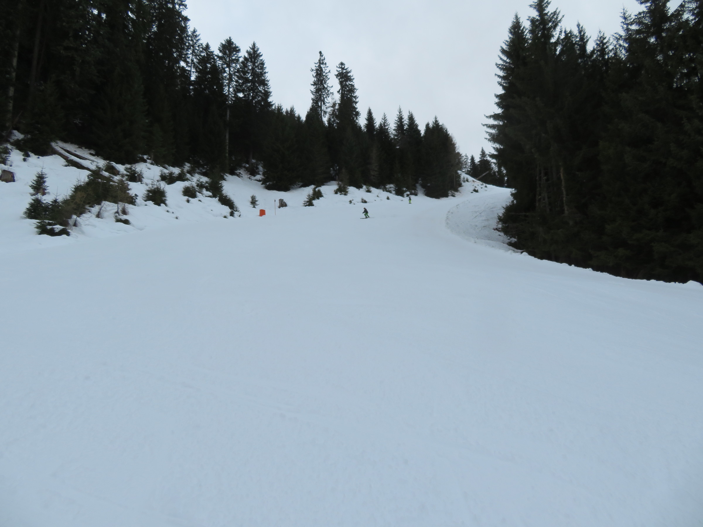 IMG_8481.JPG