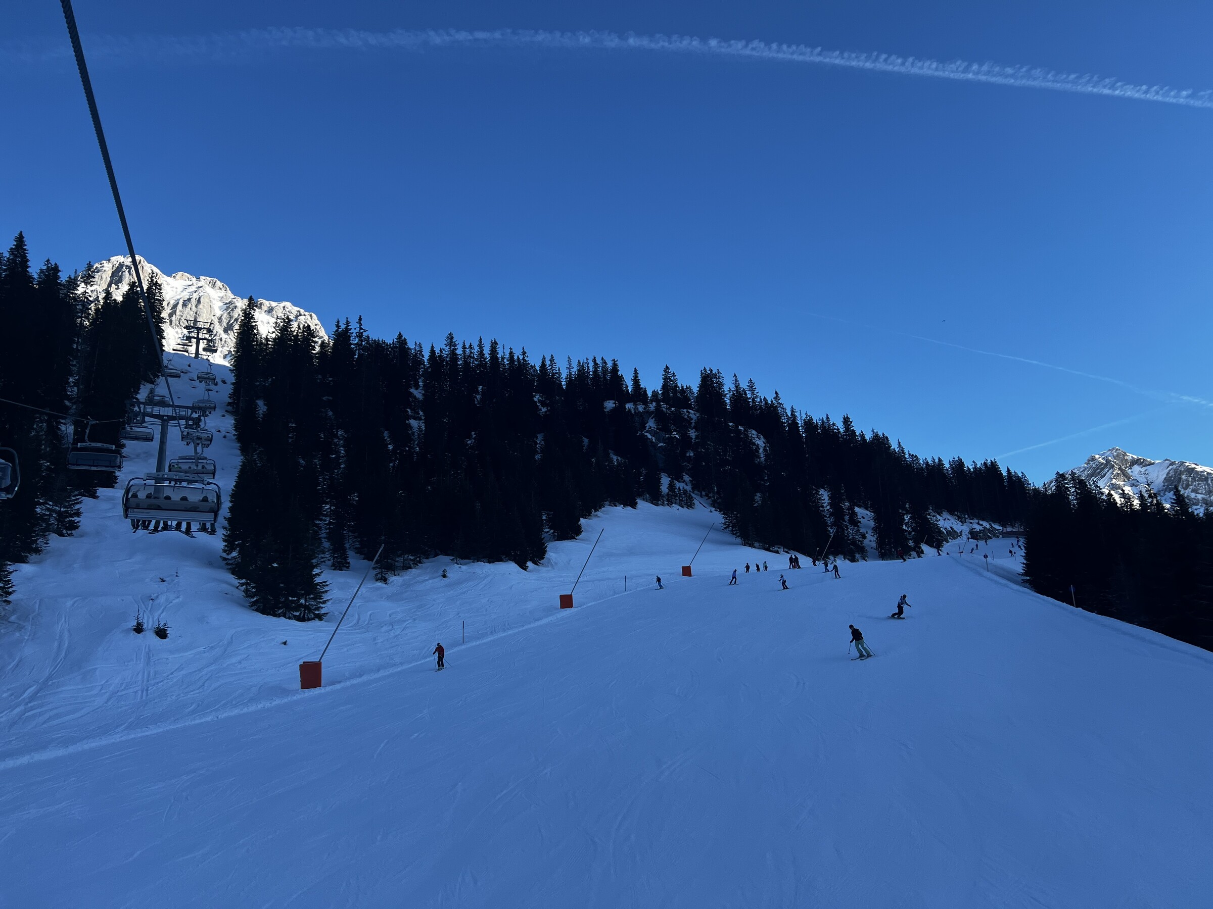 IMG_8559.jpeg