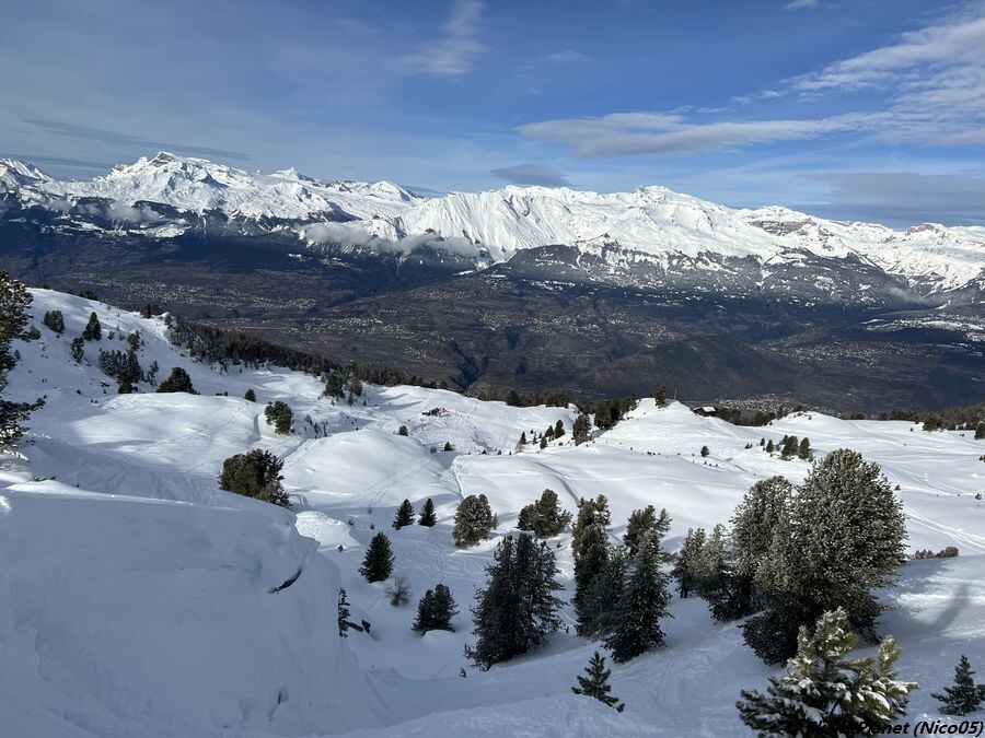 IMG_8633.jpg