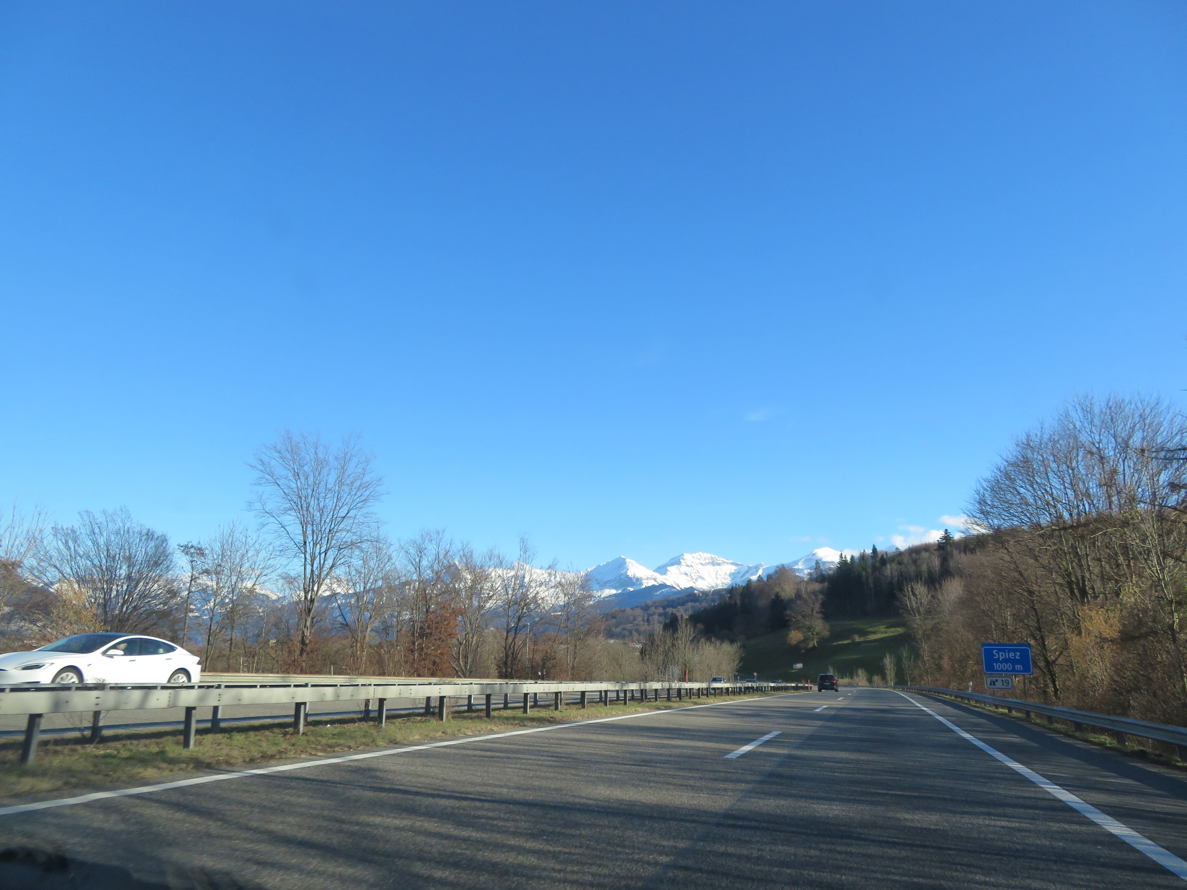 IMG_8642.JPG
