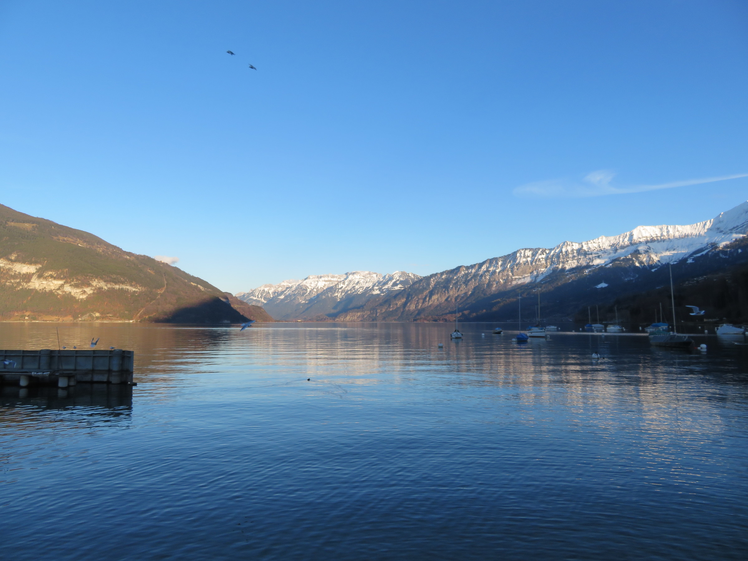 IMG_8648.JPG