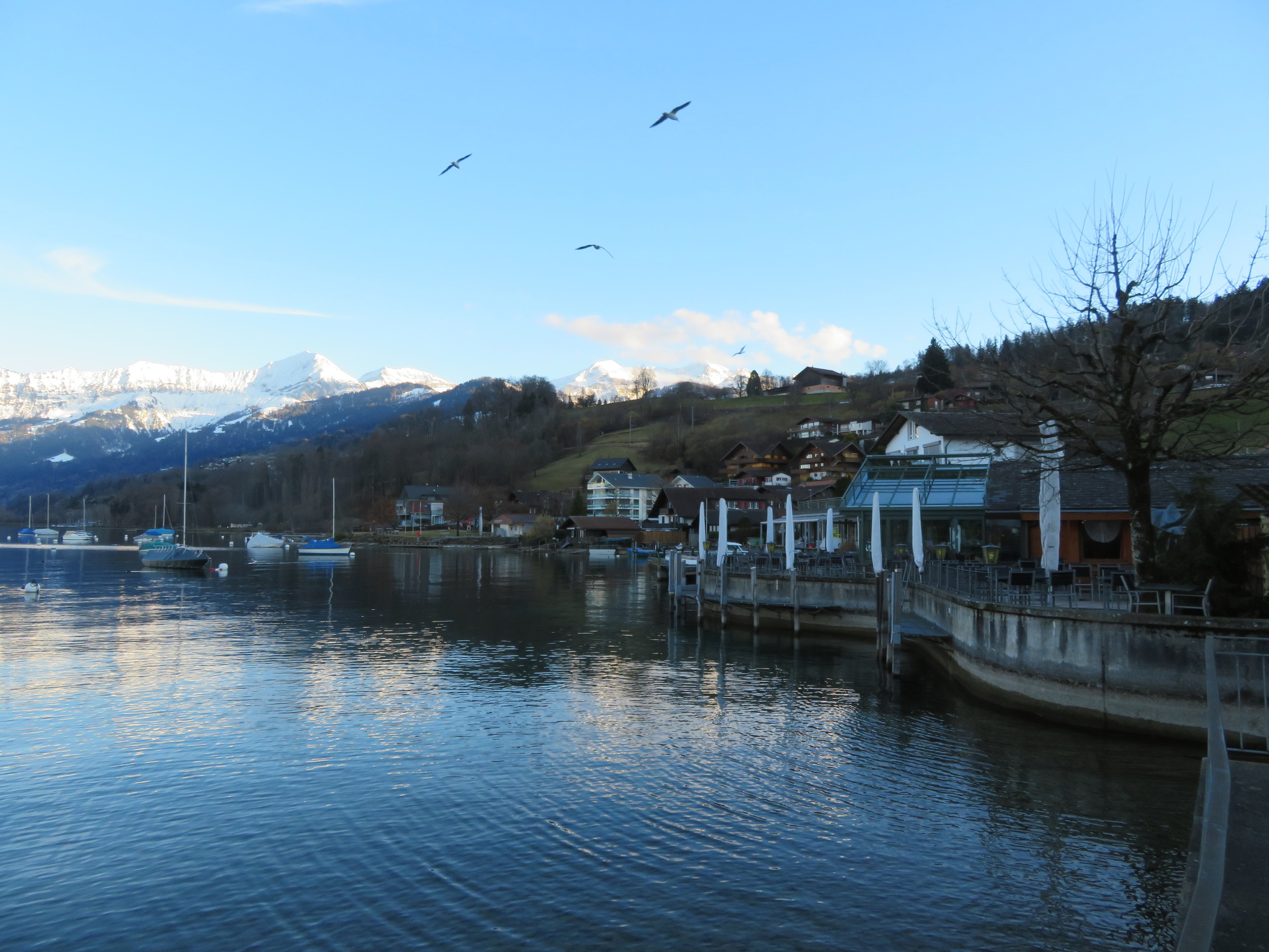 IMG_8649.JPG