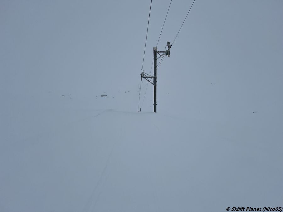 IMG_8659.JPG