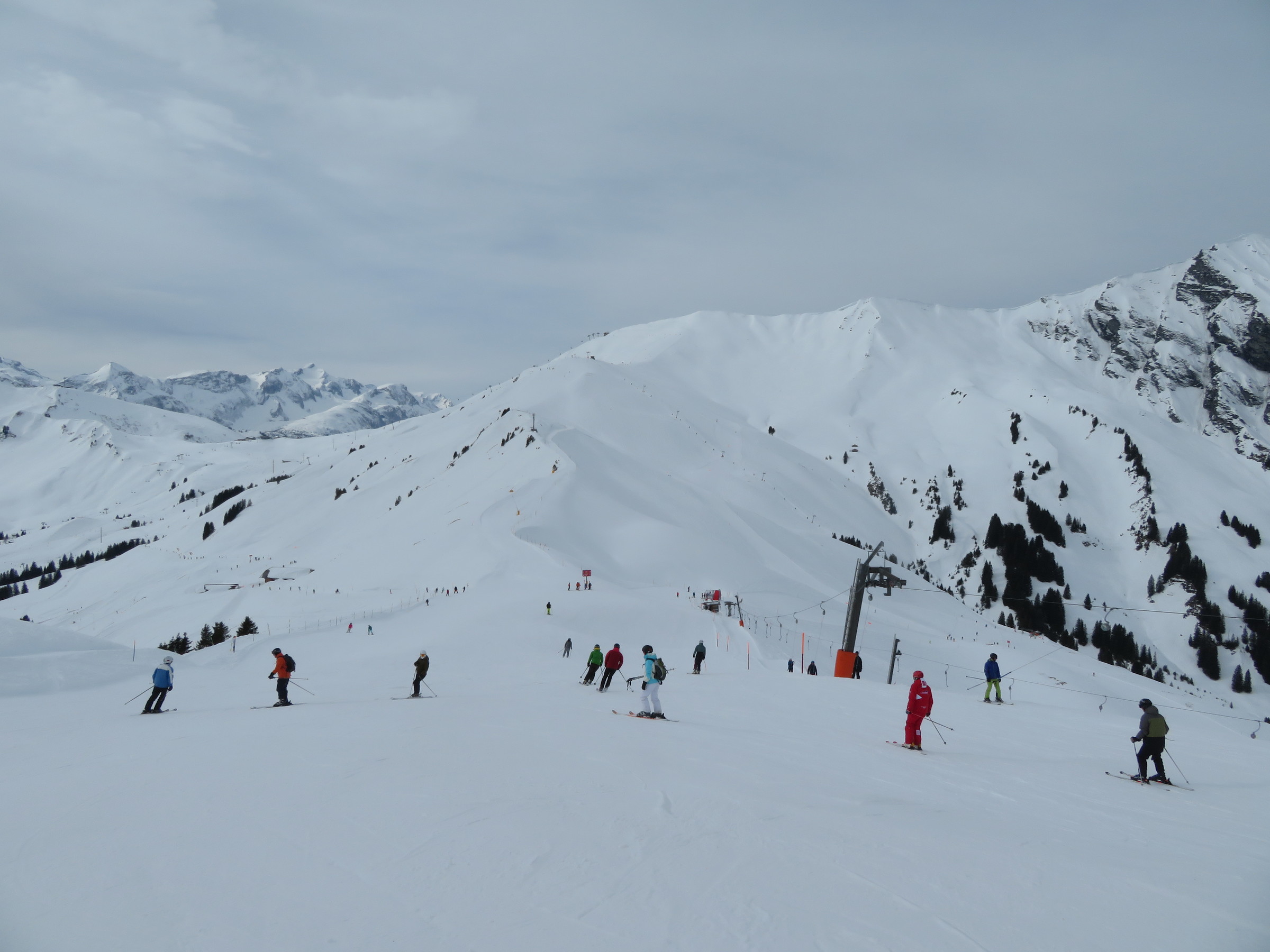 IMG_8668.JPG