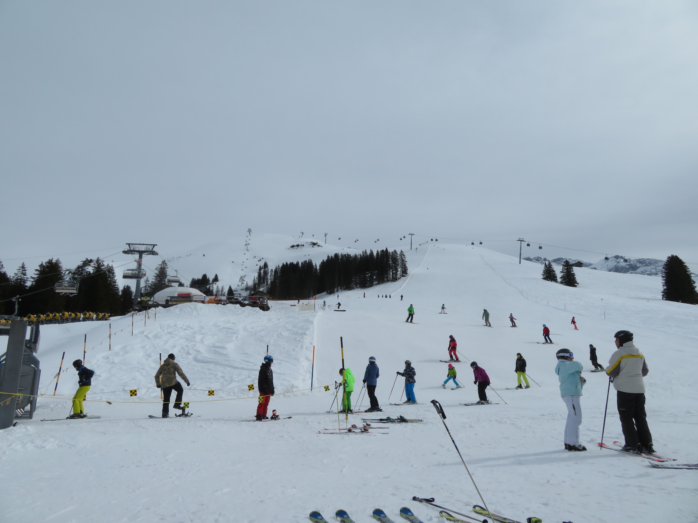 IMG_8685.JPG