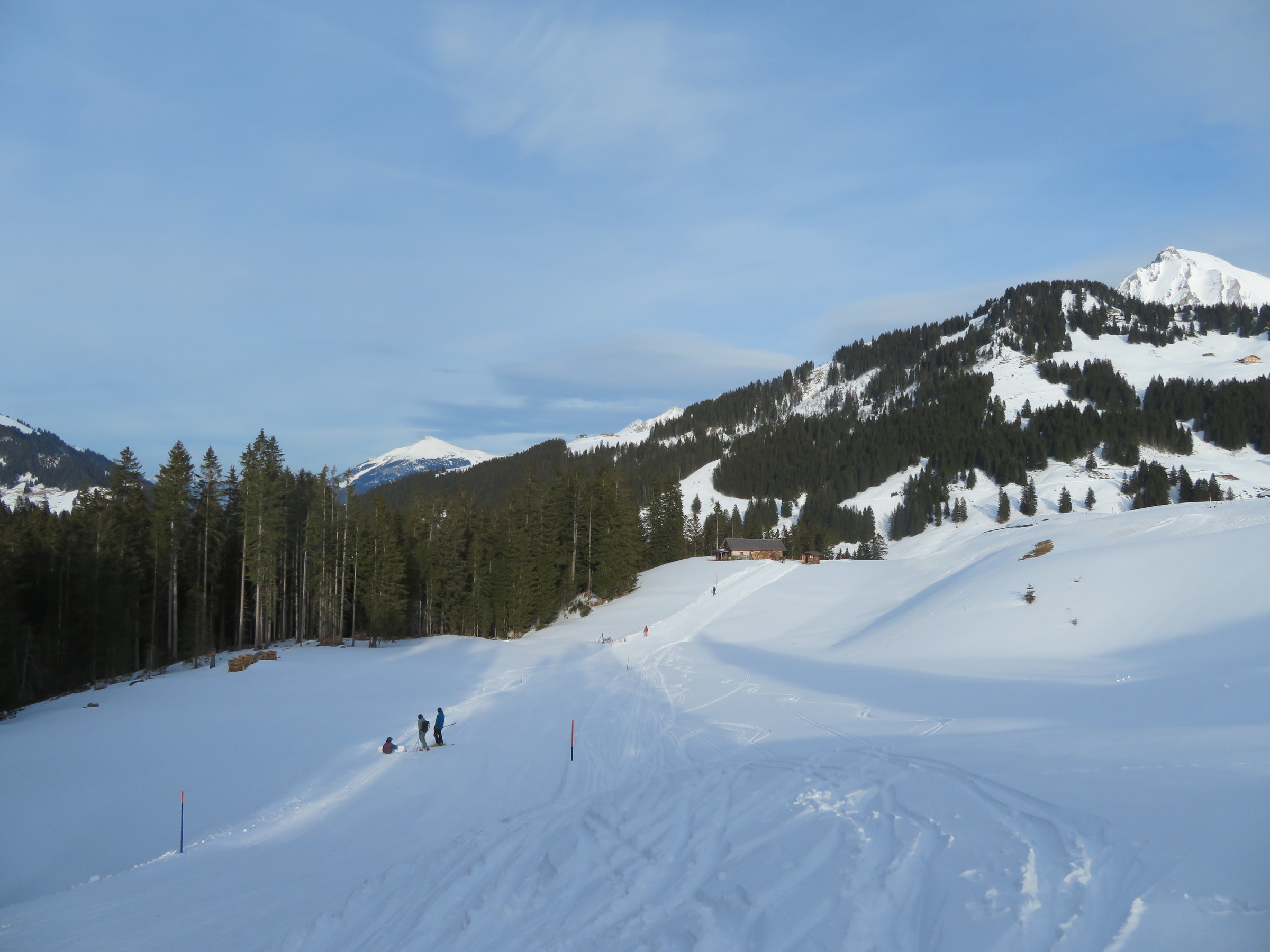 IMG_8715.JPG