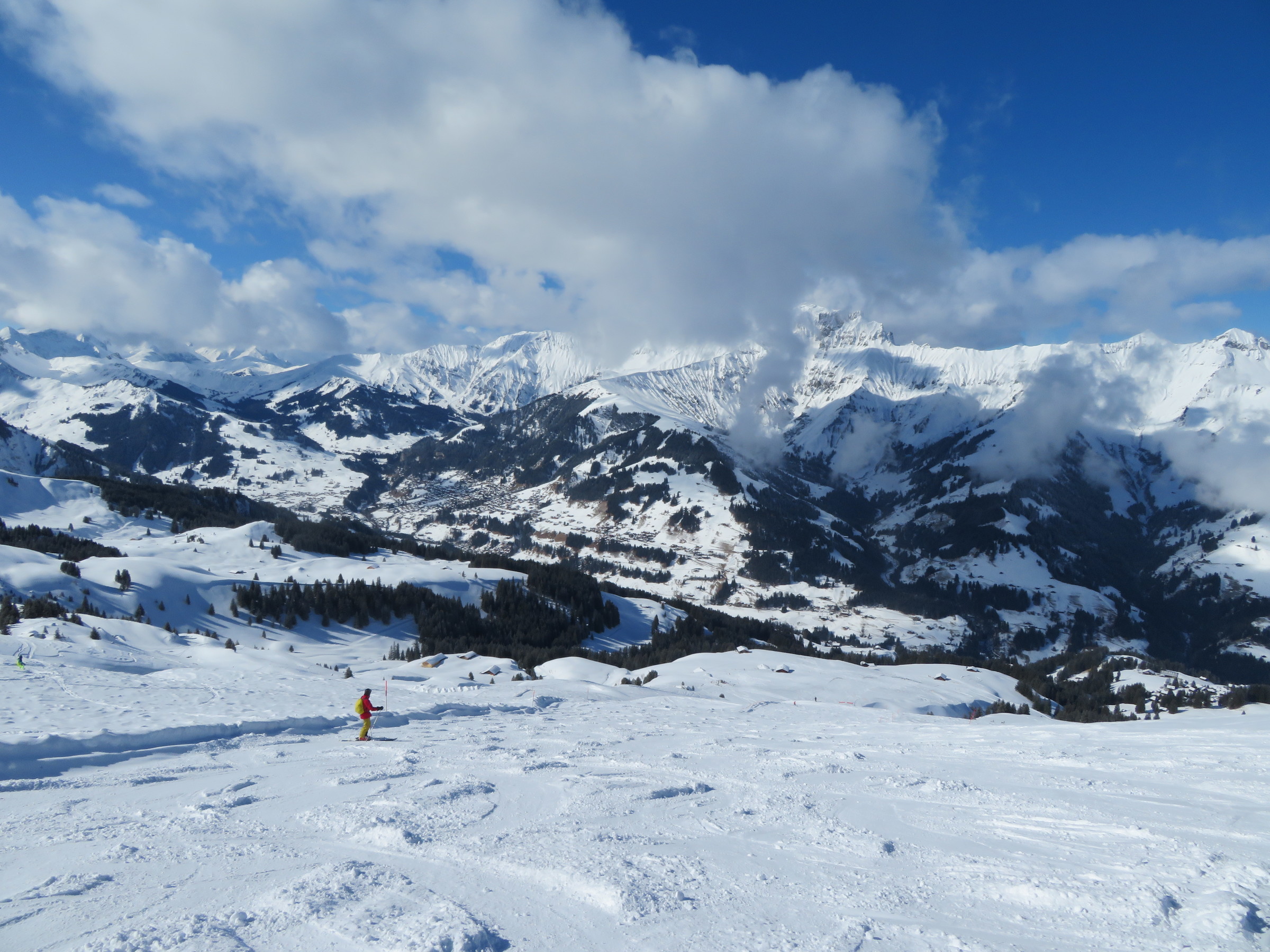IMG_8747.JPG